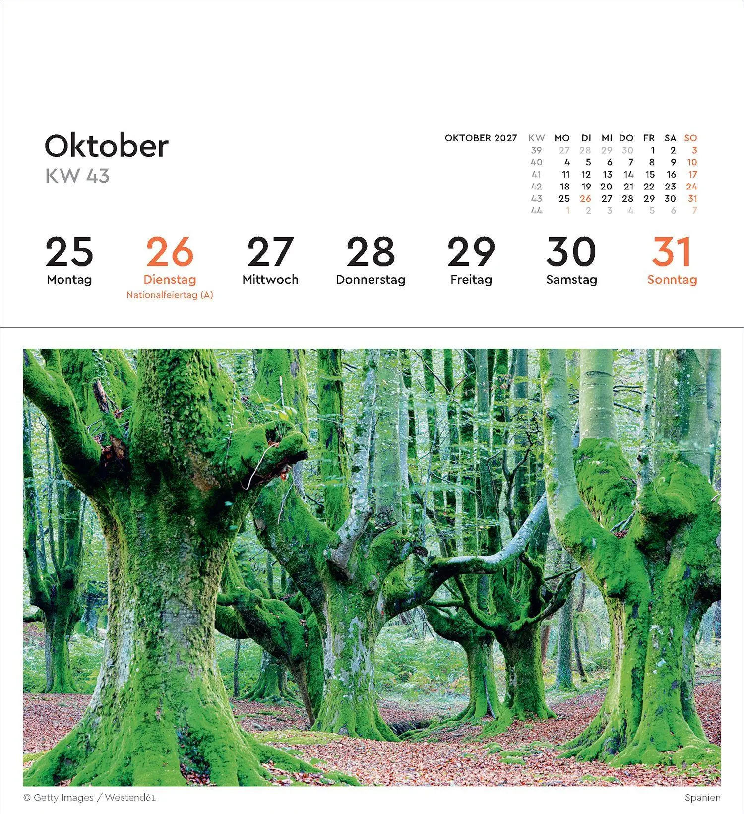 Bild: 9783965915640 | Alte Bäume - KUNTH Postkartenkalender 2027 | Kalender | 53 S. | 2027