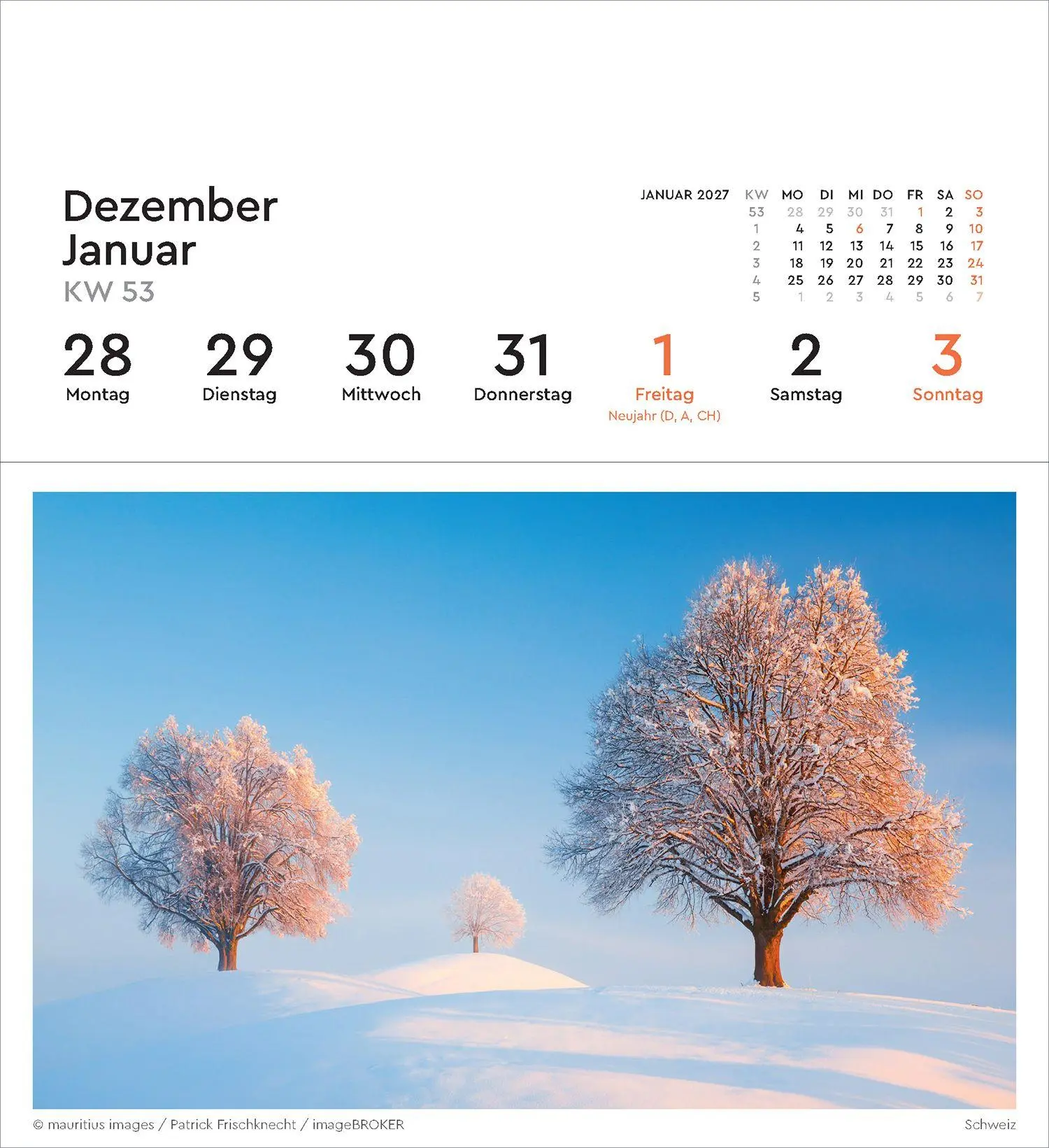 Bild: 9783965915640 | Alte Bäume - KUNTH Postkartenkalender 2027 | Kalender | 53 S. | 2027
