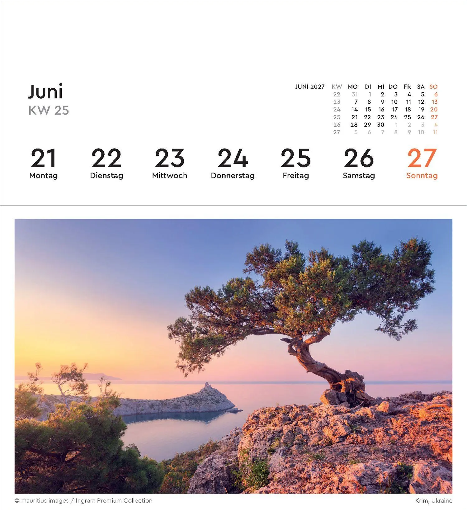 Bild: 9783965915640 | Alte Bäume - KUNTH Postkartenkalender 2027 | Kalender | 53 S. | 2027