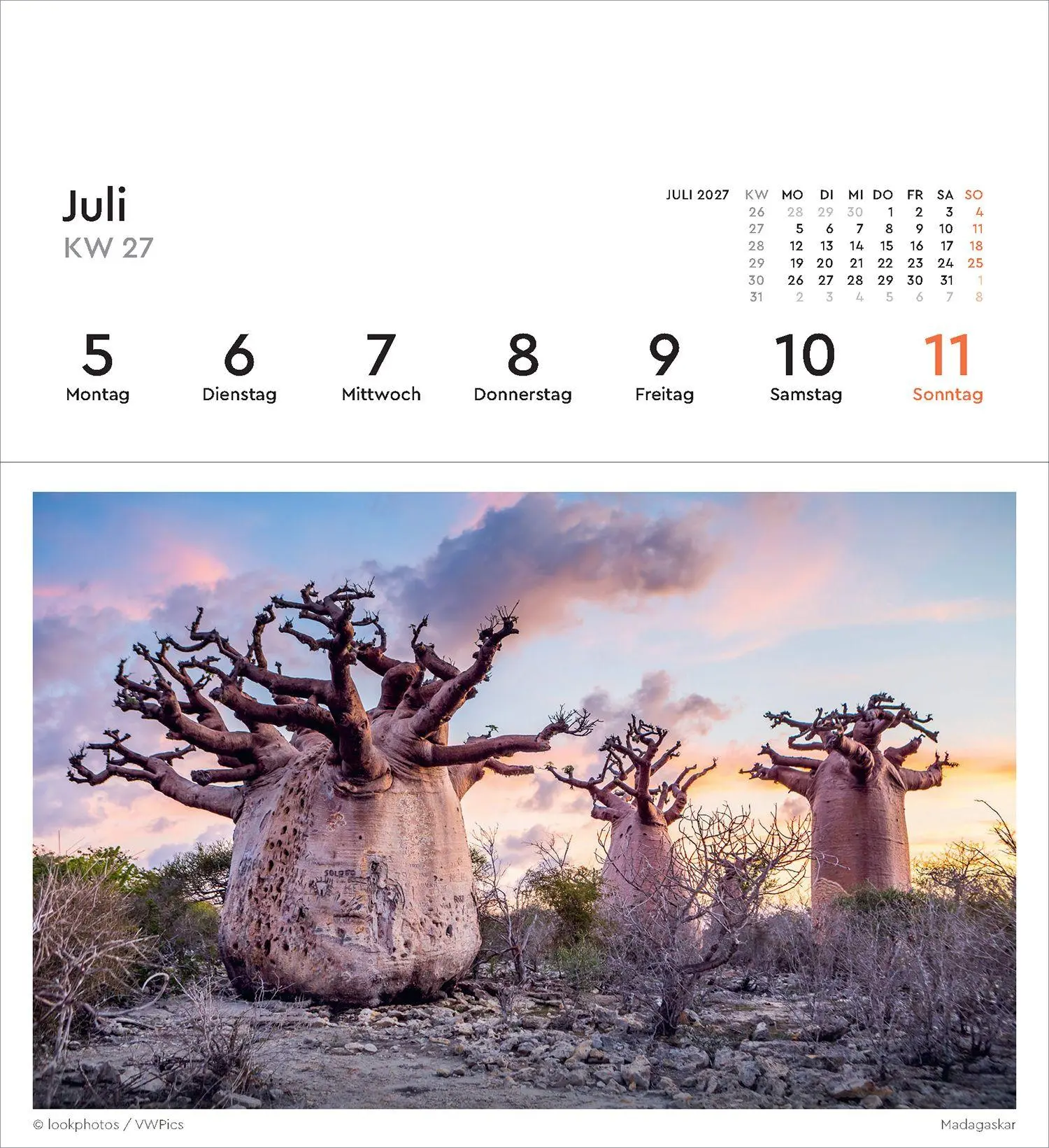 Bild: 9783965915640 | Alte Bäume - KUNTH Postkartenkalender 2027 | Kalender | 53 S. | 2027