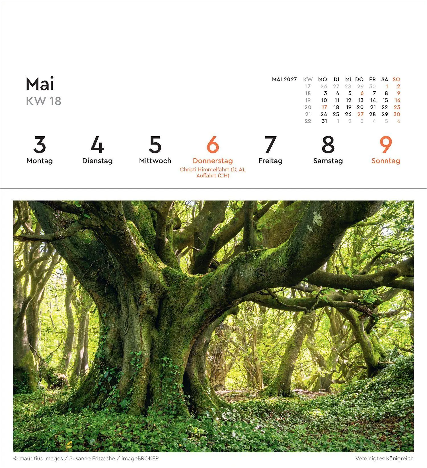 Bild: 9783965915640 | Alte Bäume - KUNTH Postkartenkalender 2027 | Kalender | 53 S. | 2027
