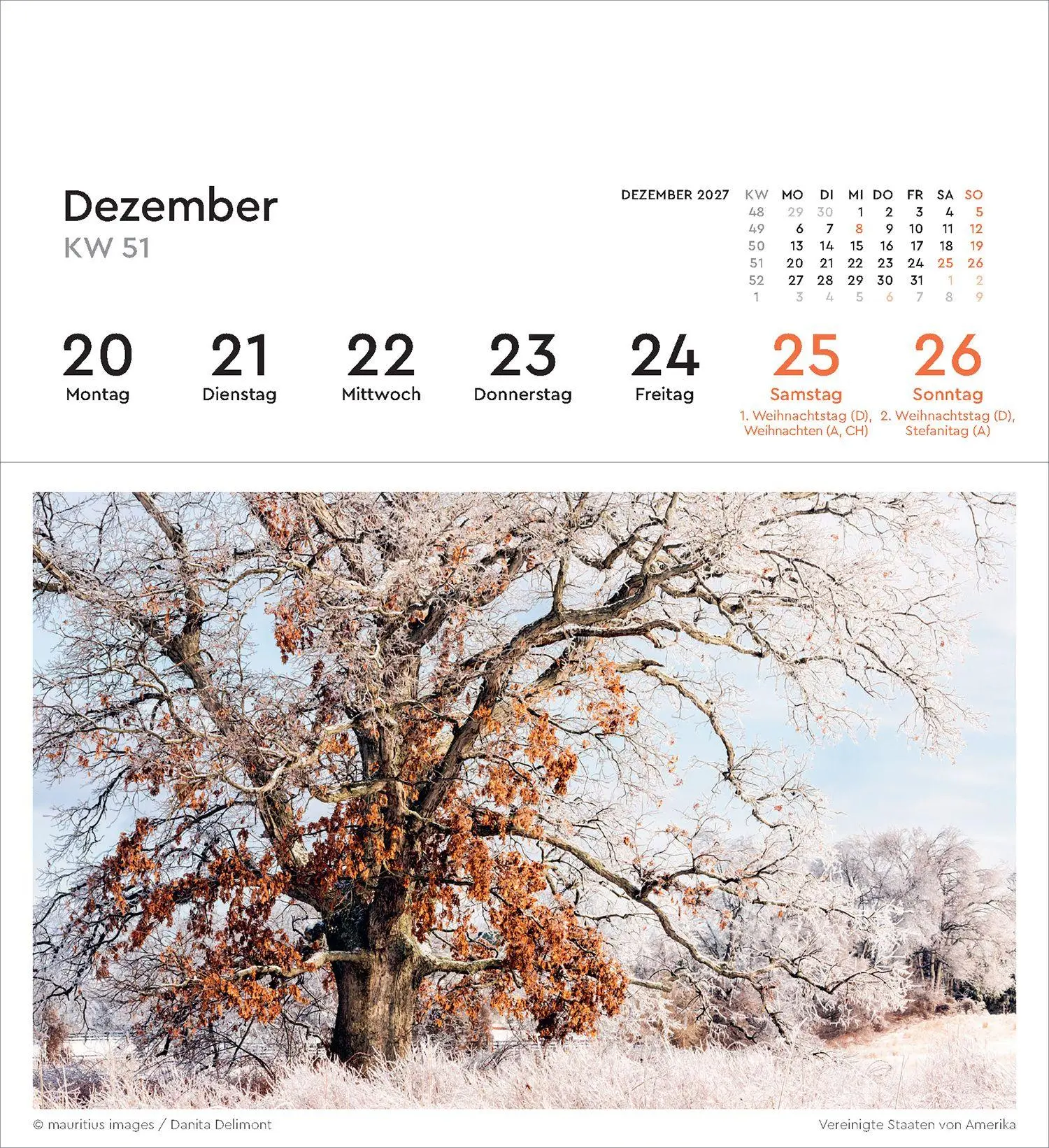 Bild: 9783965915640 | Alte Bäume - KUNTH Postkartenkalender 2027 | Kalender | 53 S. | 2027