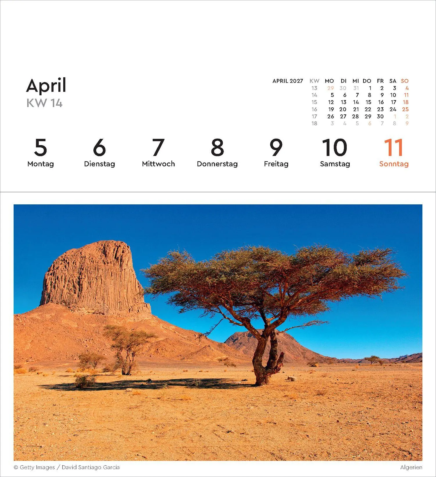 Bild: 9783965915640 | Alte Bäume - KUNTH Postkartenkalender 2027 | Kalender | 53 S. | 2027