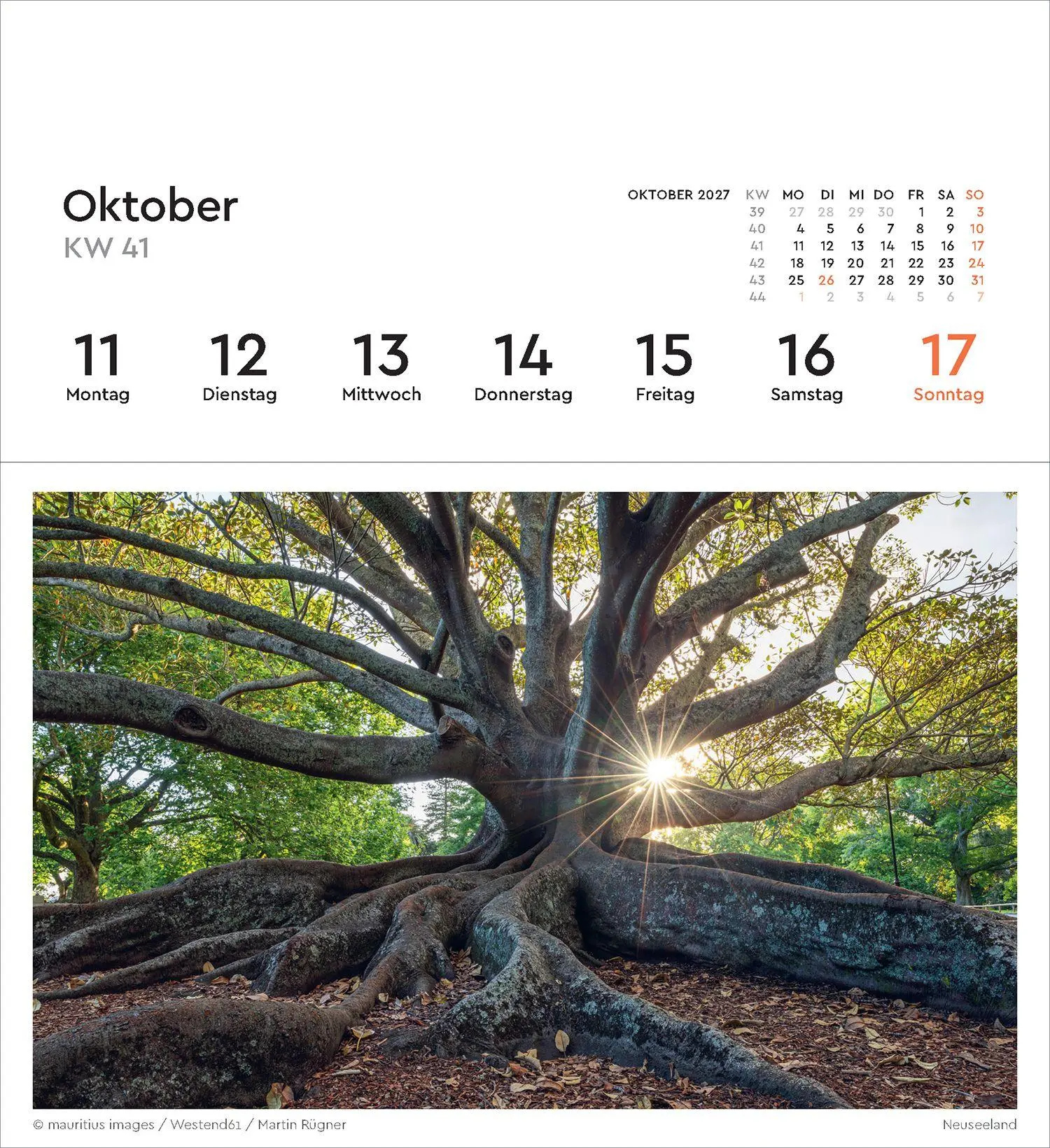 Bild: 9783965915640 | Alte Bäume - KUNTH Postkartenkalender 2027 | Kalender | 53 S. | 2027