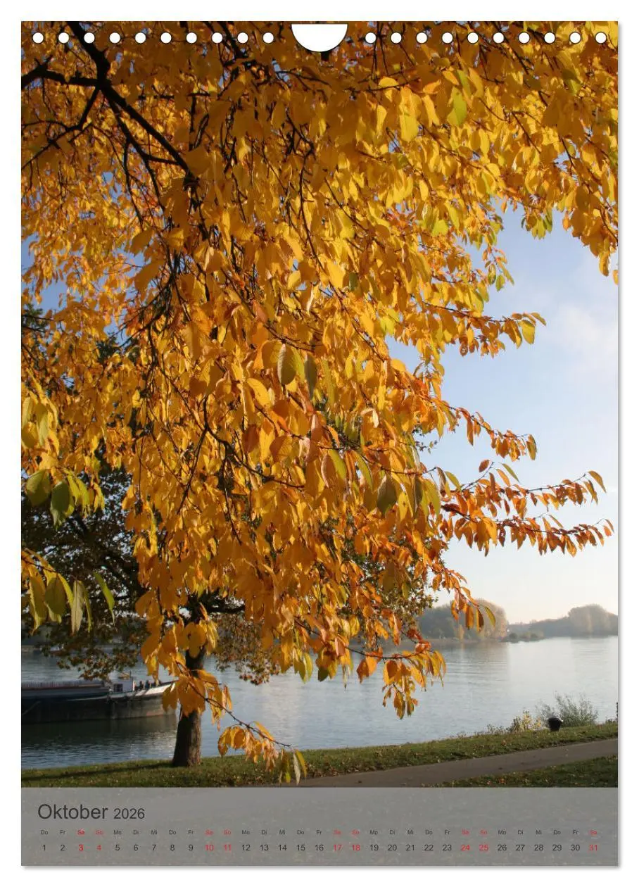 Bild: 9783516365740 | Liebenswertes Mainz (Wandkalender 2026 DIN A4 hoch), CALVENDO...