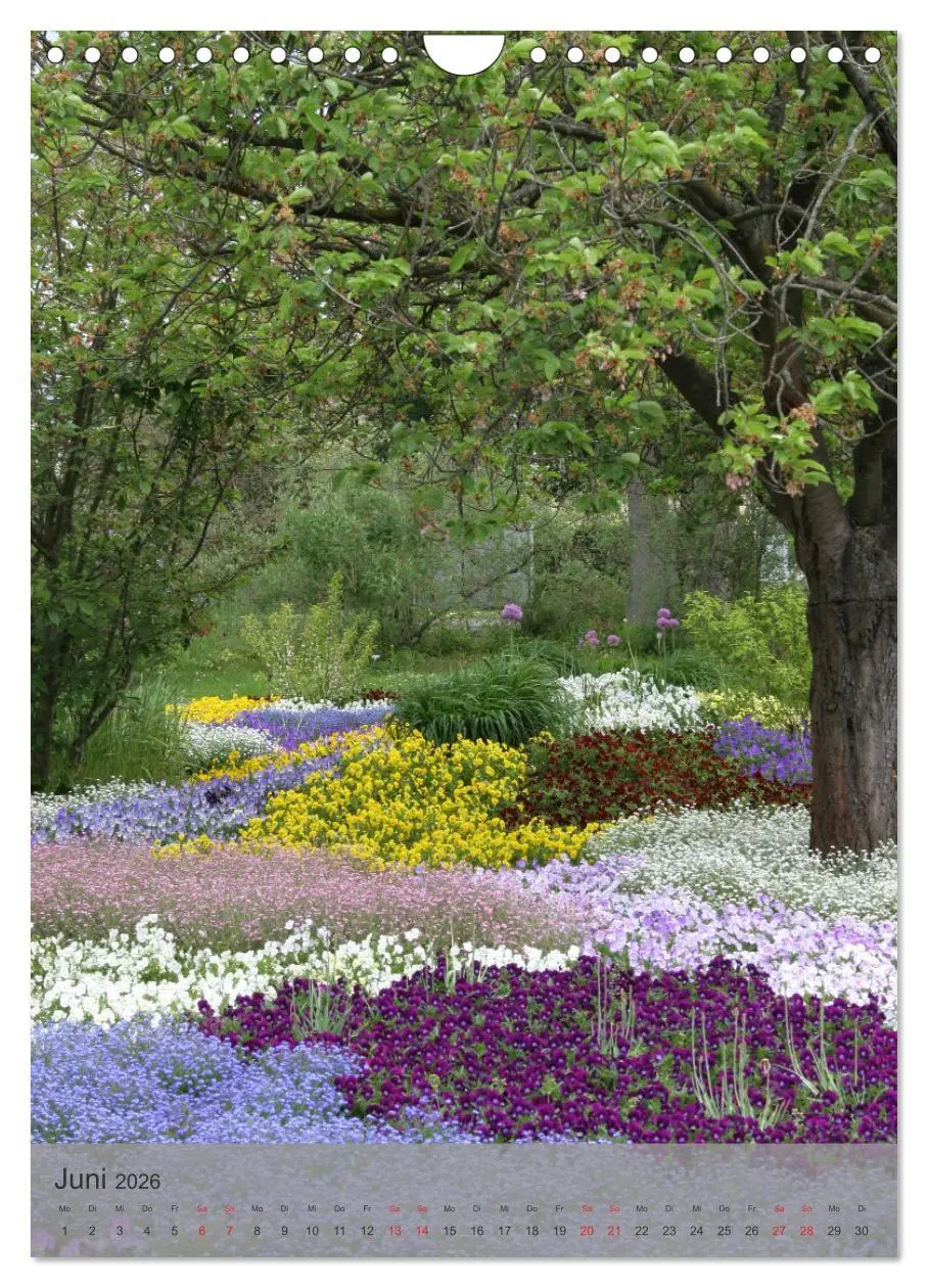 Bild: 9783516365740 | Liebenswertes Mainz (Wandkalender 2026 DIN A4 hoch), CALVENDO...