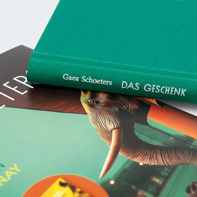 Bild: 9783552075740 | Das Geschenk | Roman | Gaea Schoeters | Buch | 144 S. | Deutsch | 2025