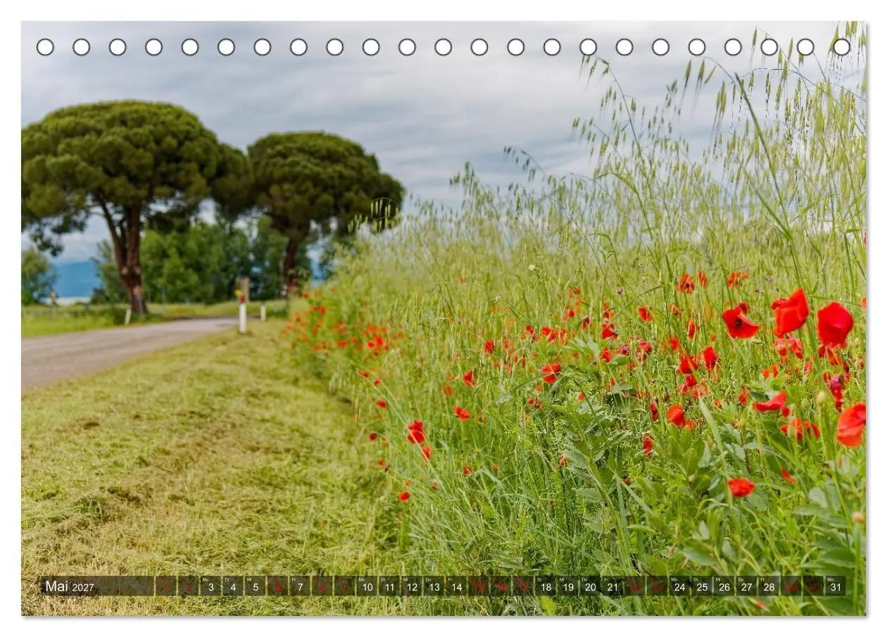 Bild: 9783594345740 | Erlebnis Toskana - Landschaften (Tischkalender 2027 DIN A5 quer),...