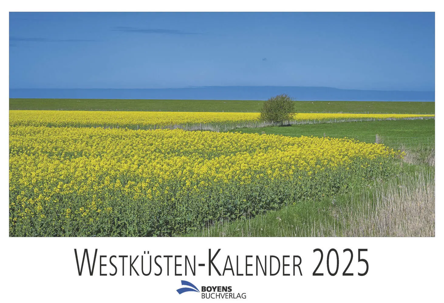 Cover: 9783804215740 | Westküsten-Kalender 2025 | Ingo Lau | Kalender | Deutsch | 2025