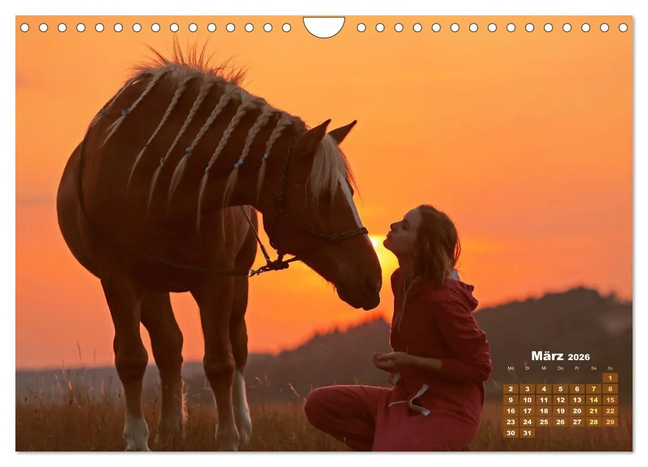 Bild: 9783457265840 | Haflinger: Die blonden Pferde von der Alm (Wandkalender 2026 DIN A4...