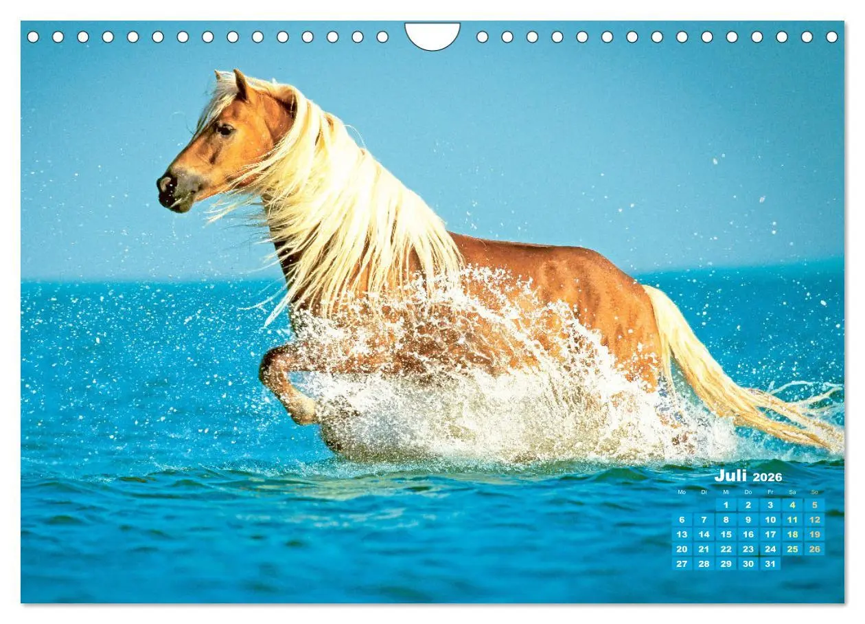 Bild: 9783457265840 | Haflinger: Die blonden Pferde von der Alm (Wandkalender 2026 DIN A4...