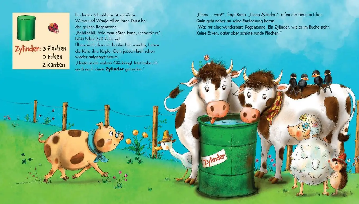 Bild: 9783707425840 | Kugel, Würfel, Pyramide ... kennst du die Unterschiede? | Motschiunig