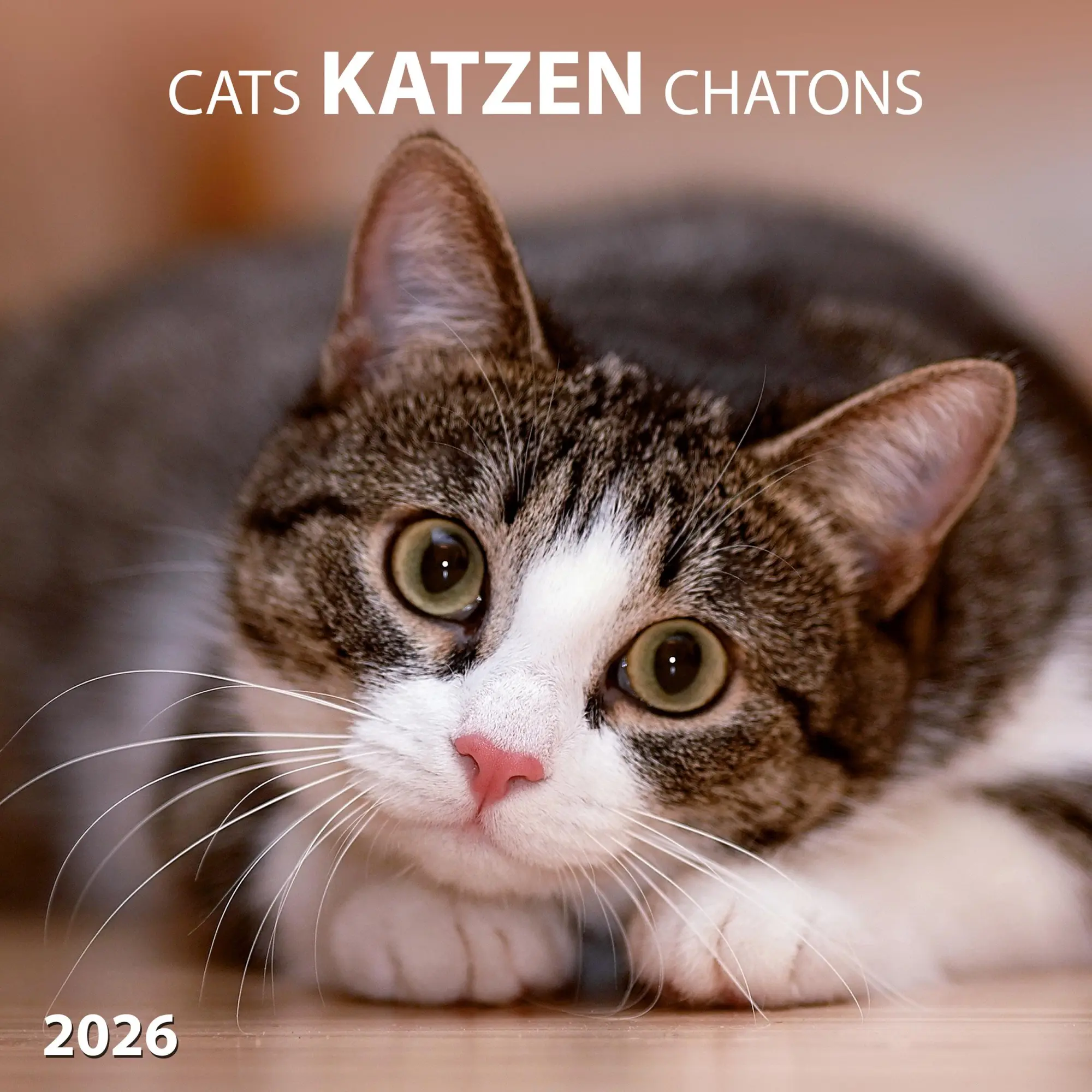 Cover: 9783959295840 | Katzen/Cats 2026 | Kalender 2026 | Kalender | Artwork Edition | 28 S.
