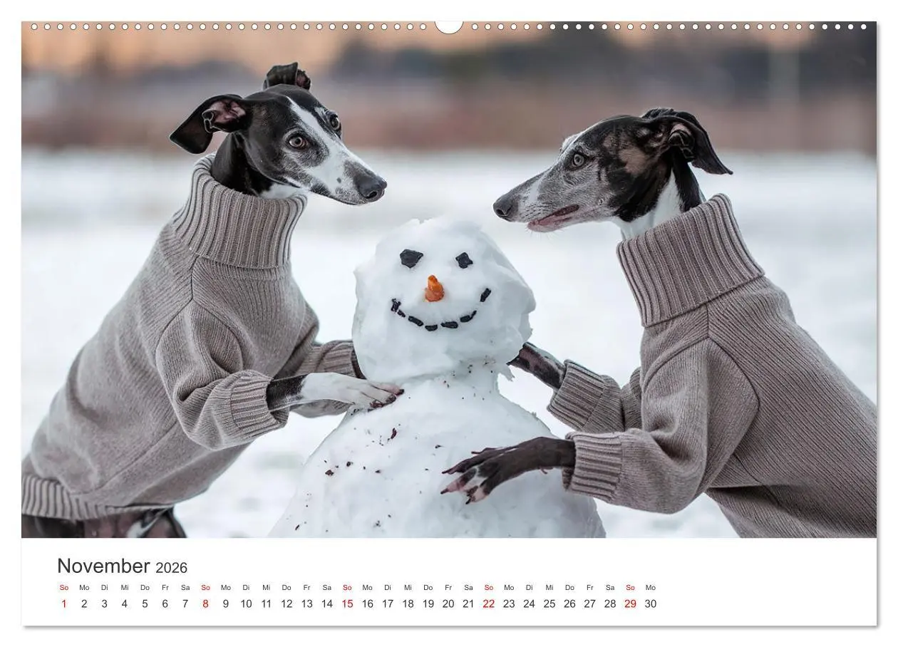 Bild: 9783457255940 | Funny Greyhounds - Windhunde mal anders (Wandkalender 2026 DIN A2...