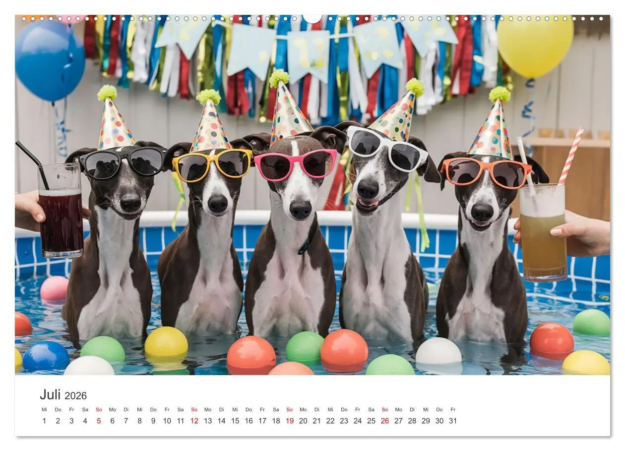 Bild: 9783457255940 | Funny Greyhounds - Windhunde mal anders (Wandkalender 2026 DIN A2...