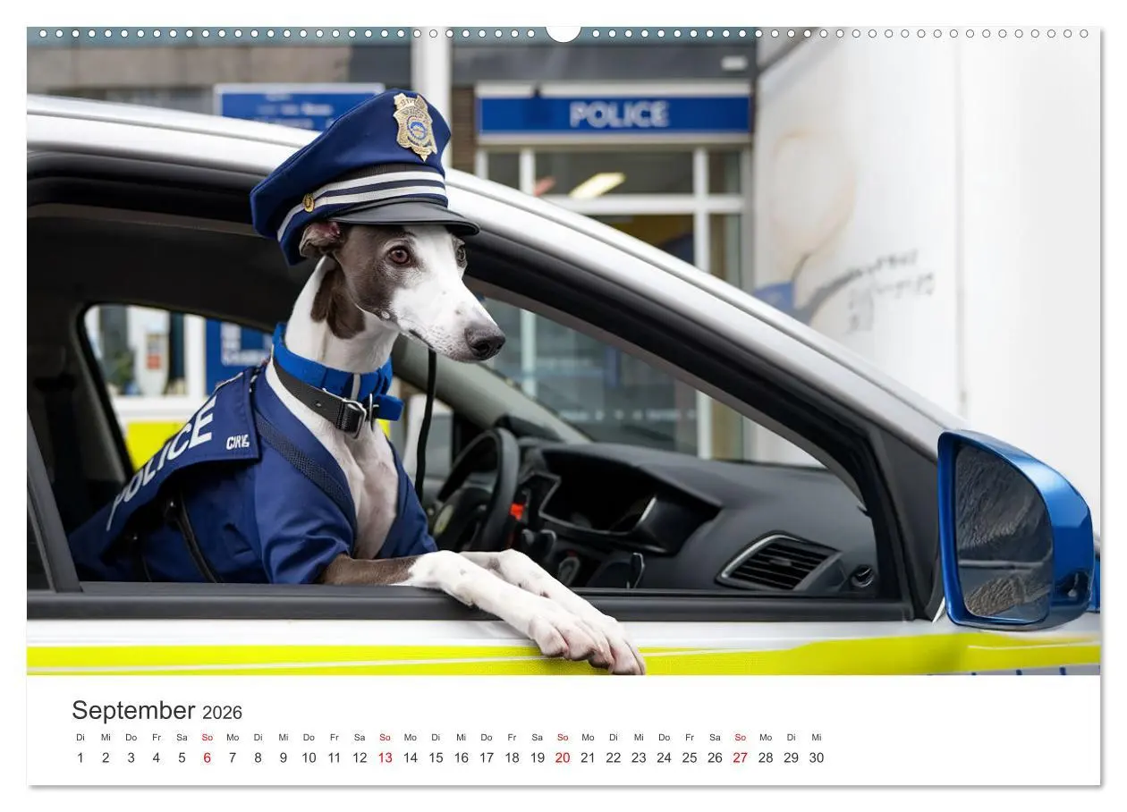 Bild: 9783457255940 | Funny Greyhounds - Windhunde mal anders (Wandkalender 2026 DIN A2...