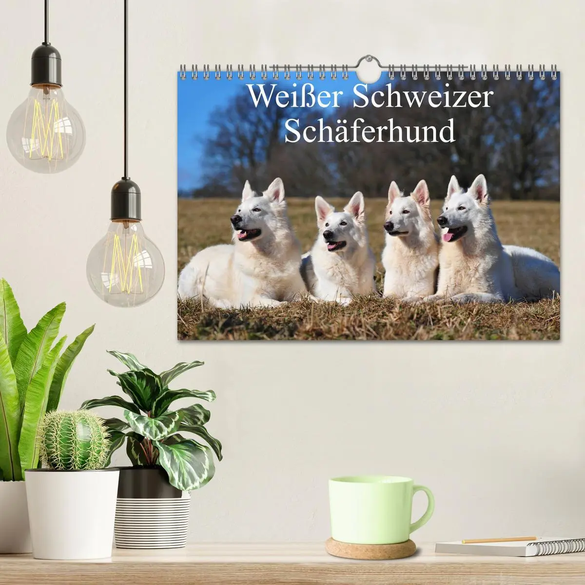 Bild: 9783516166040 | Weißer Schweizer Schäferhund (Wandkalender 2026 DIN A4 quer),...