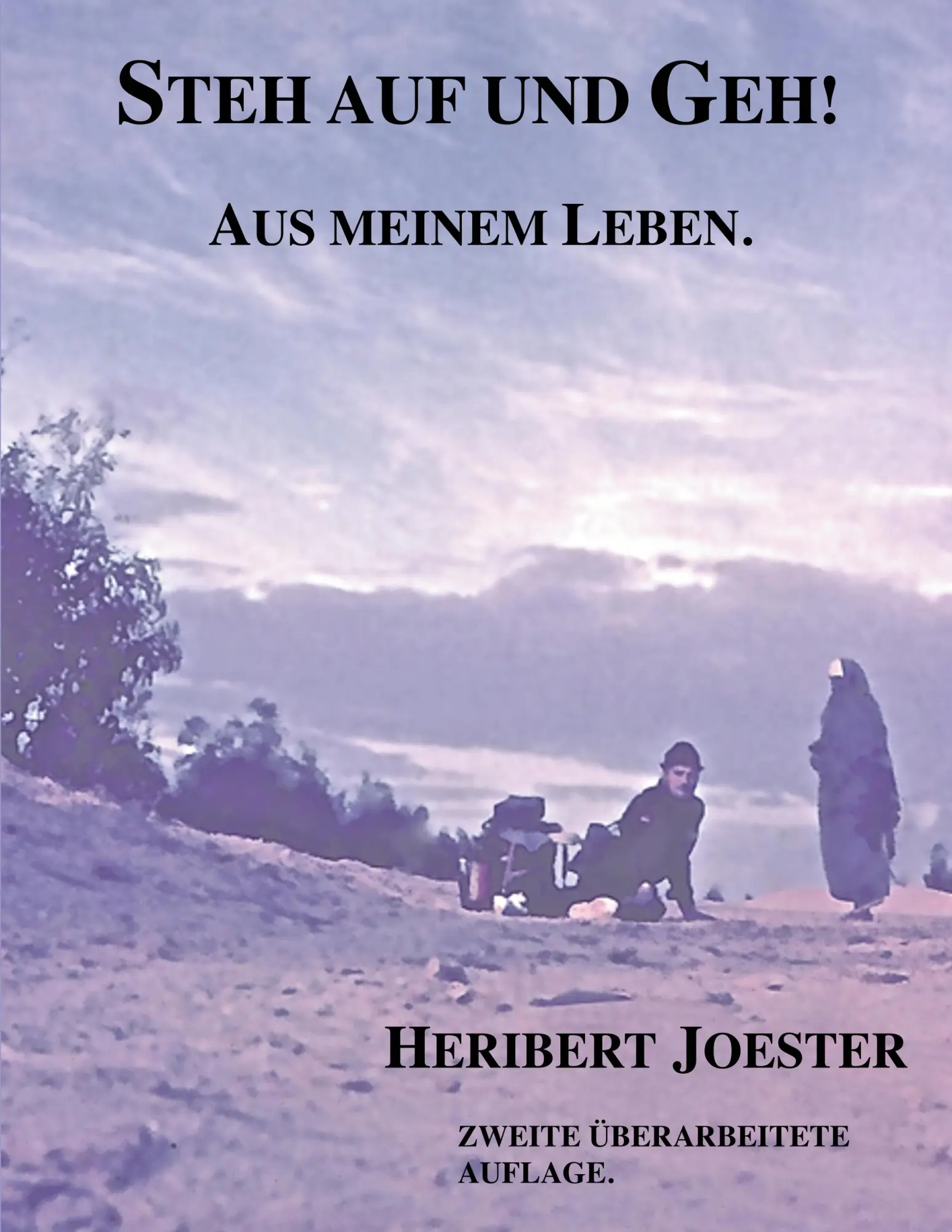Cover: 9783746086040 | Steh auf und geh! | Aus meinem Leben | Heribert Joester | Taschenbuch