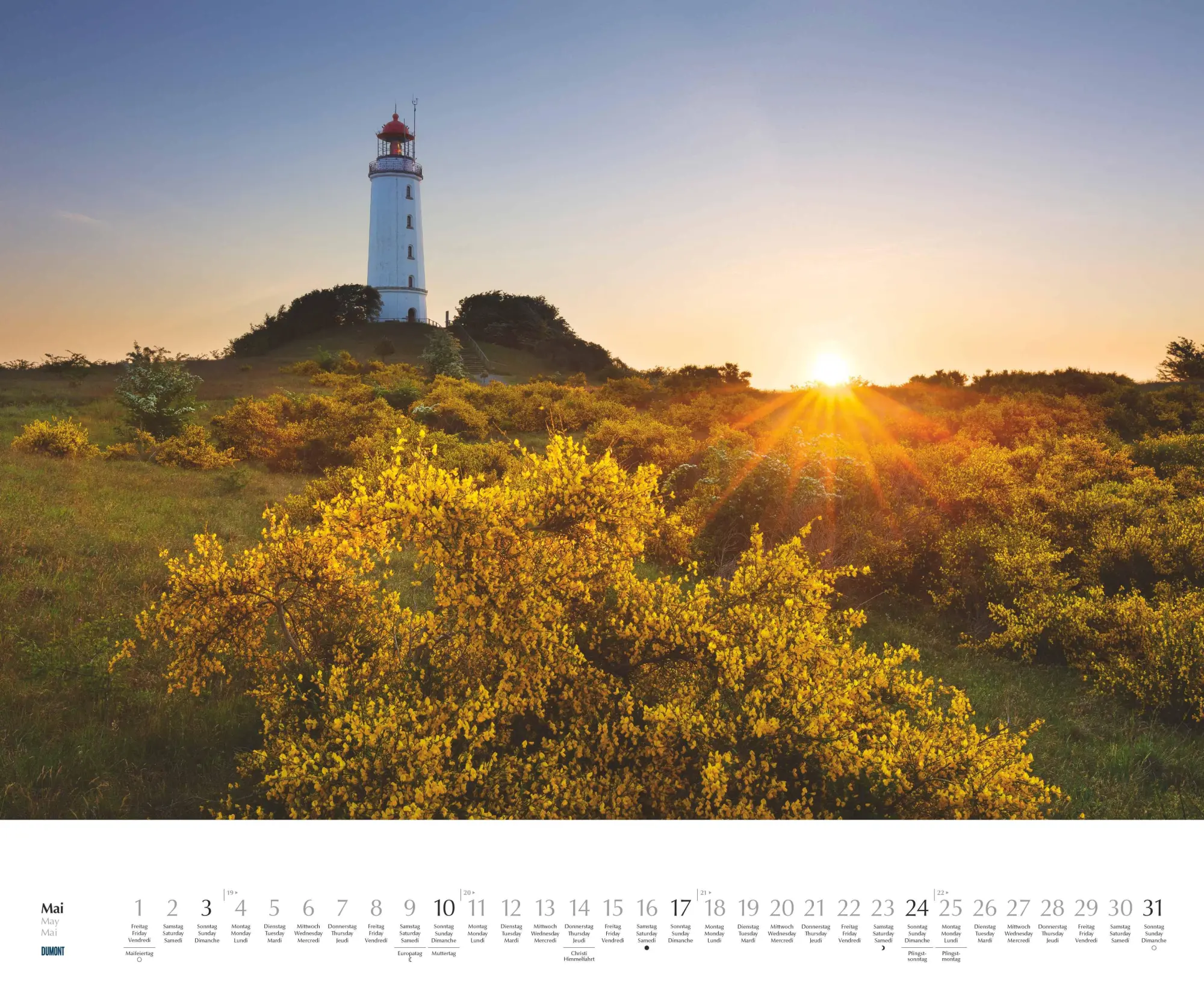 Bild: 4069095006140 | Rügen &amp; Hiddensee 2026 - Wandkalender 52 x 42,5 cm - Spiralbindung