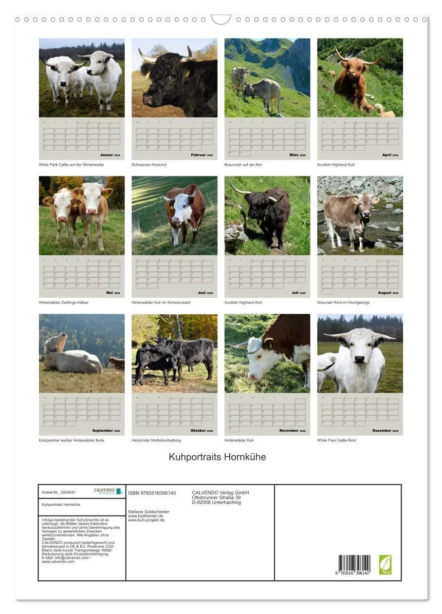Bild: 9783516396140 | Kuhportraits Hornkühe (Wandkalender 2026 DIN A2 hoch), CALVENDO...