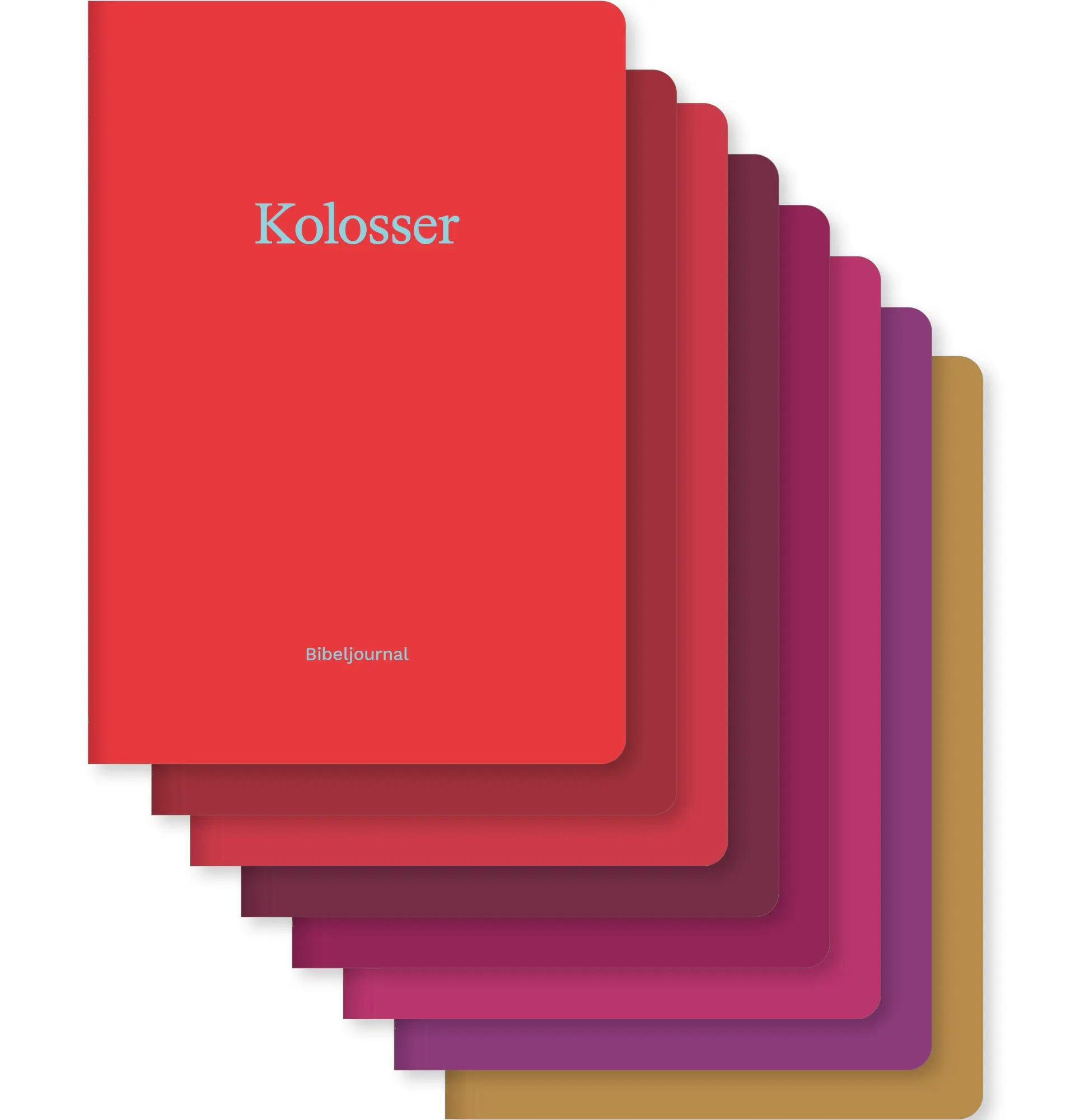 Cover: 9783986656140 | Bibeljournale - Paket (Kolosser - Offenbarung) | Verbum Medien | Buch