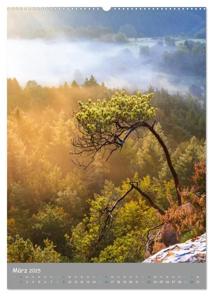 Bild: 9783435896240 | Traumhafte Pfalz (Wandkalender 2025 DIN A2 hoch), CALVENDO...