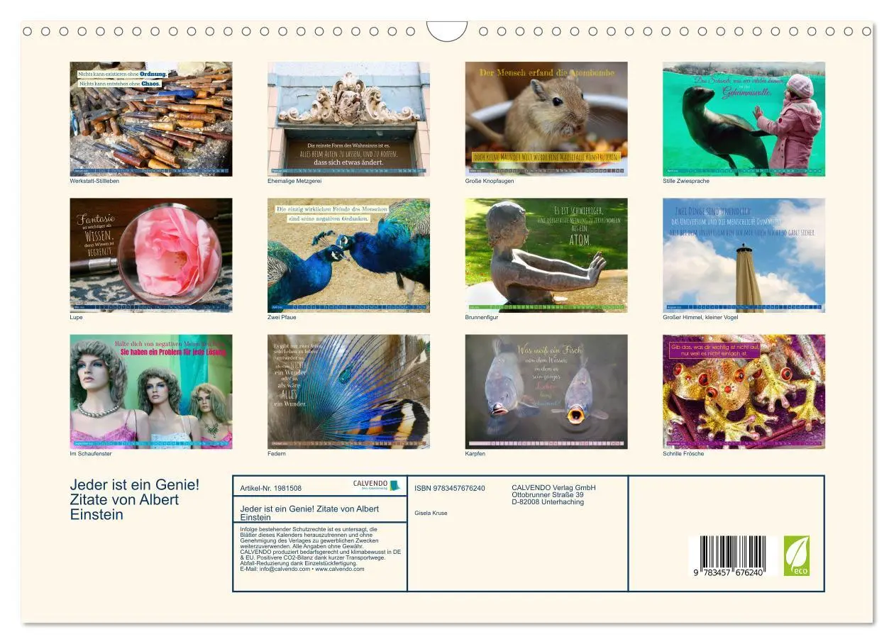 Bild: 9783457676240 | Jeder ist ein Genie! Zitate von Albert Einstein (Wandkalender 2026...