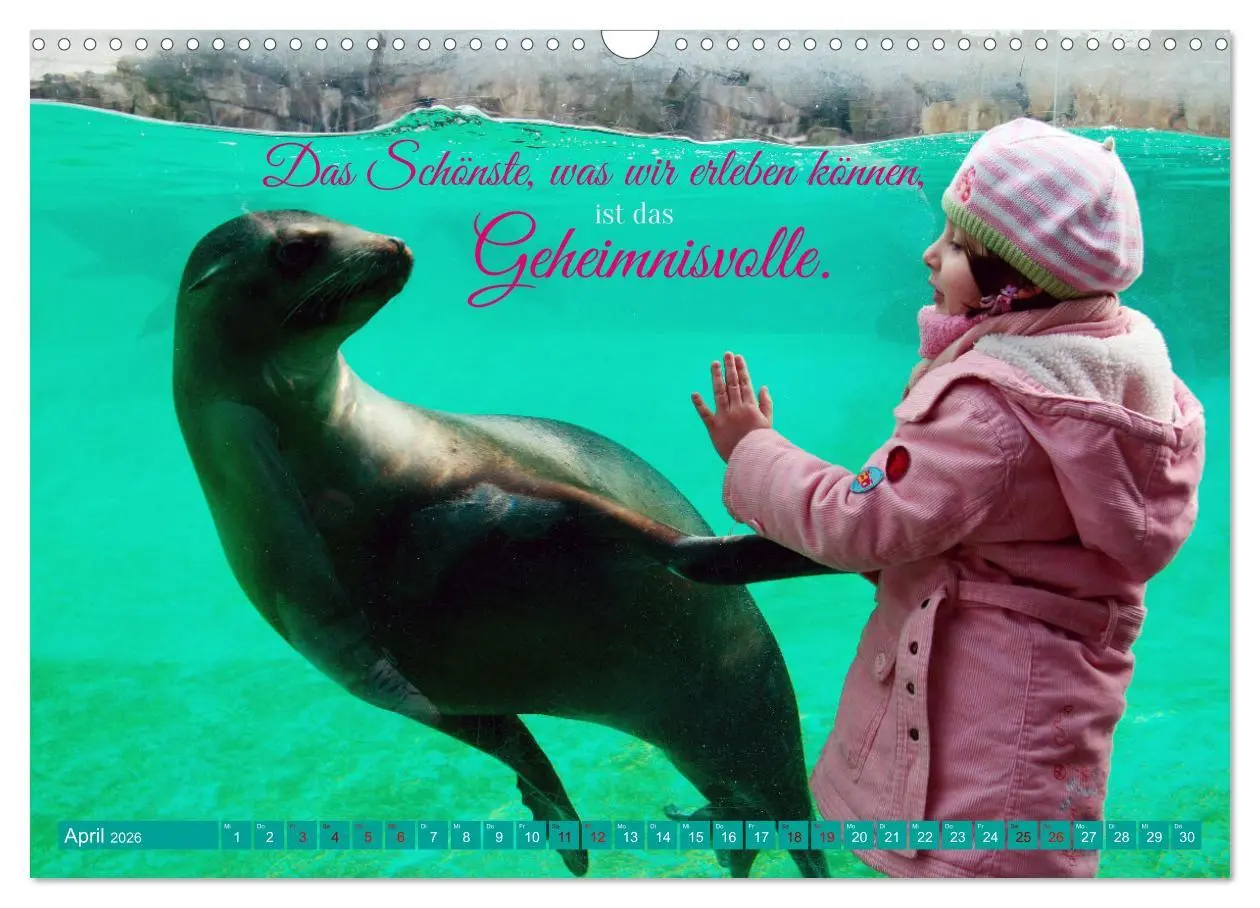 Bild: 9783457676240 | Jeder ist ein Genie! Zitate von Albert Einstein (Wandkalender 2026...