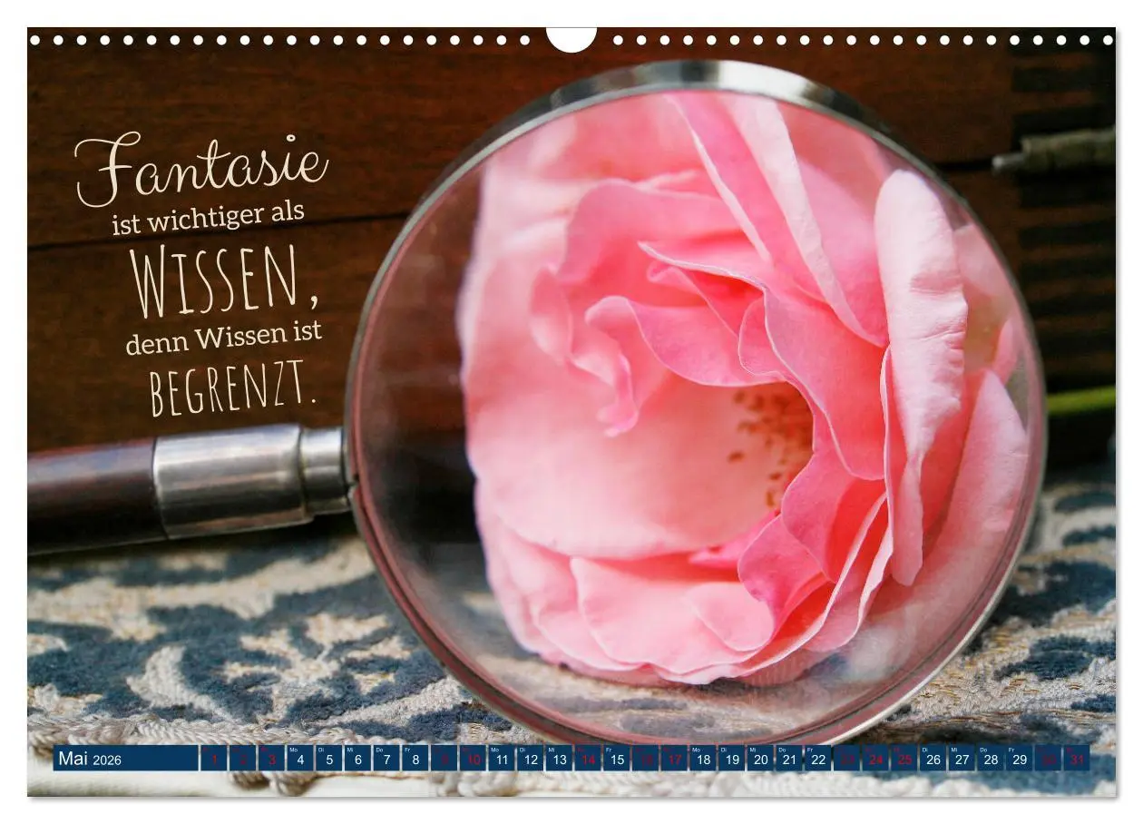 Bild: 9783457676240 | Jeder ist ein Genie! Zitate von Albert Einstein (Wandkalender 2026...