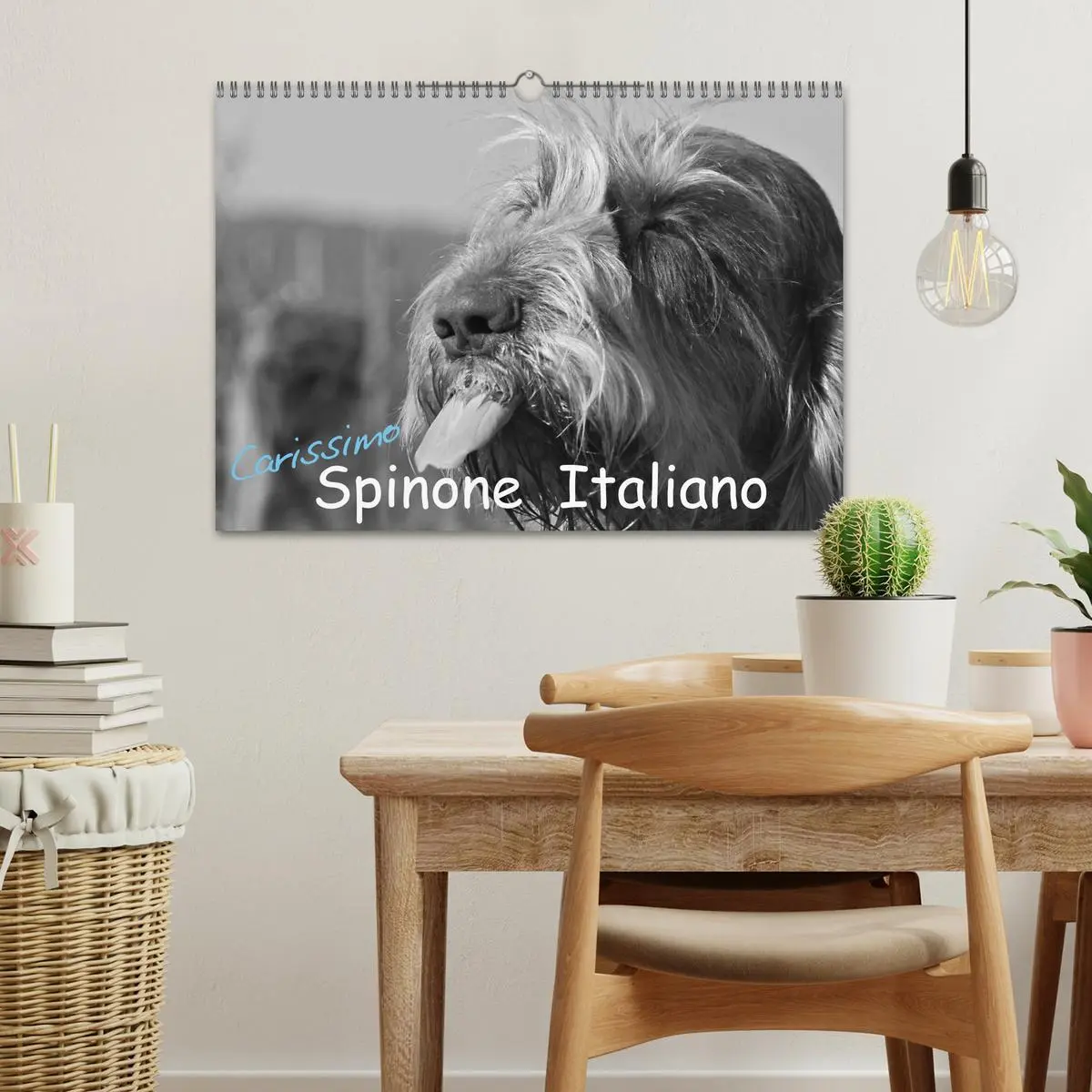 Bild: 9783516076240 | Carissimo Spinone Italiano (Wandkalender 2026 DIN A3 quer),...