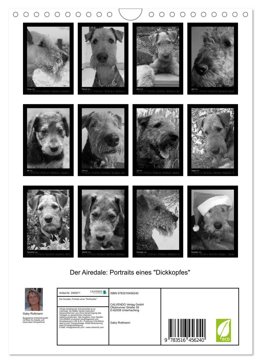 Bild: 9783516456240 | Der Airedale: Portraits eines "Dickkopfes" (Wandkalender 2026 DIN...