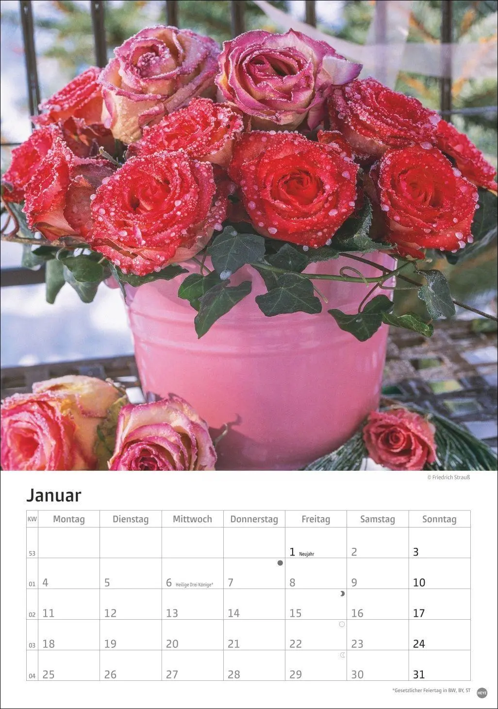 Bild: 9783756416240 | Rosenpracht Kalender 2027 | Heye | Kalender | Spiralbindung | 13 S.