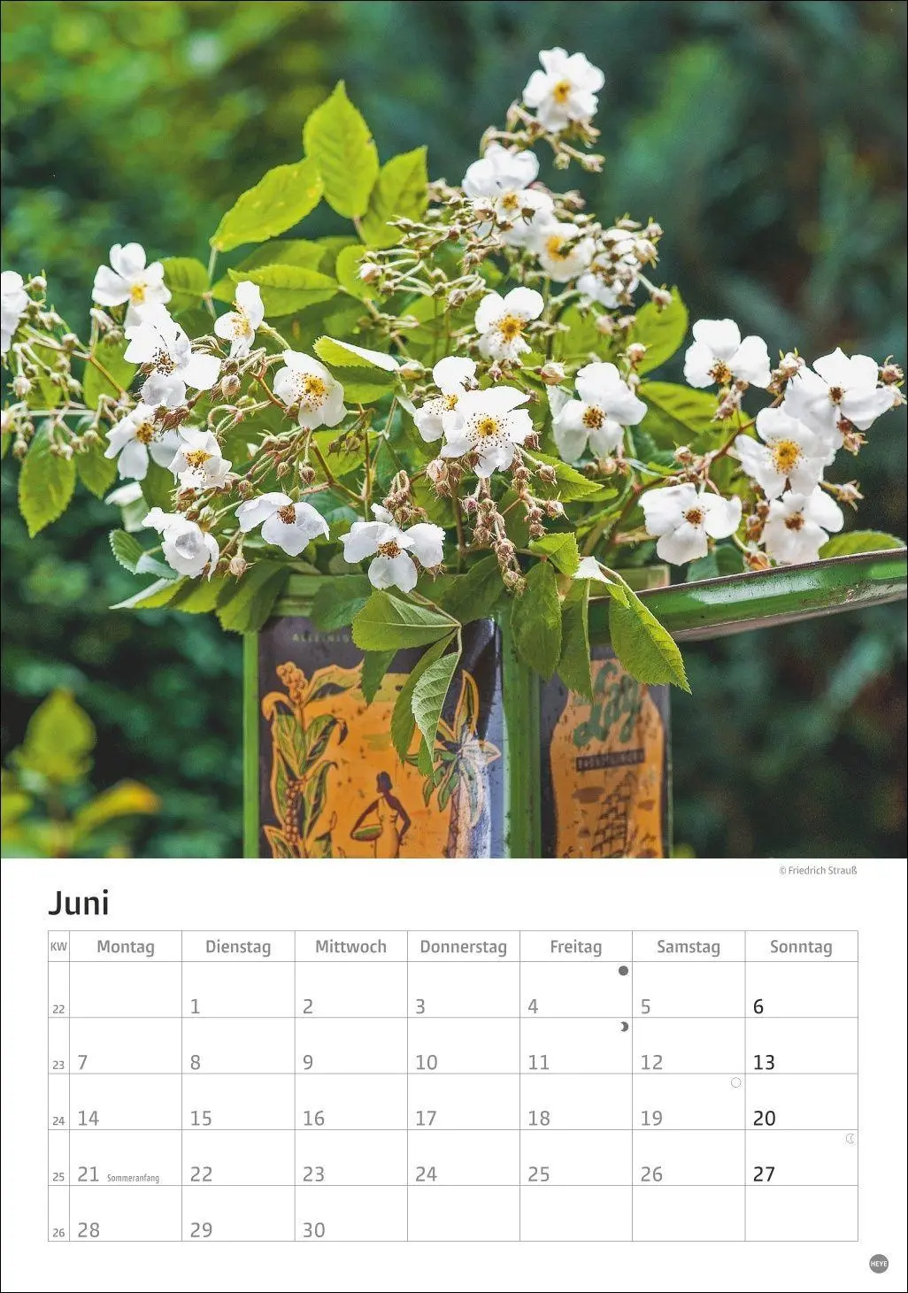 Bild: 9783756416240 | Rosenpracht Kalender 2027 | Heye | Kalender | Spiralbindung | 13 S.