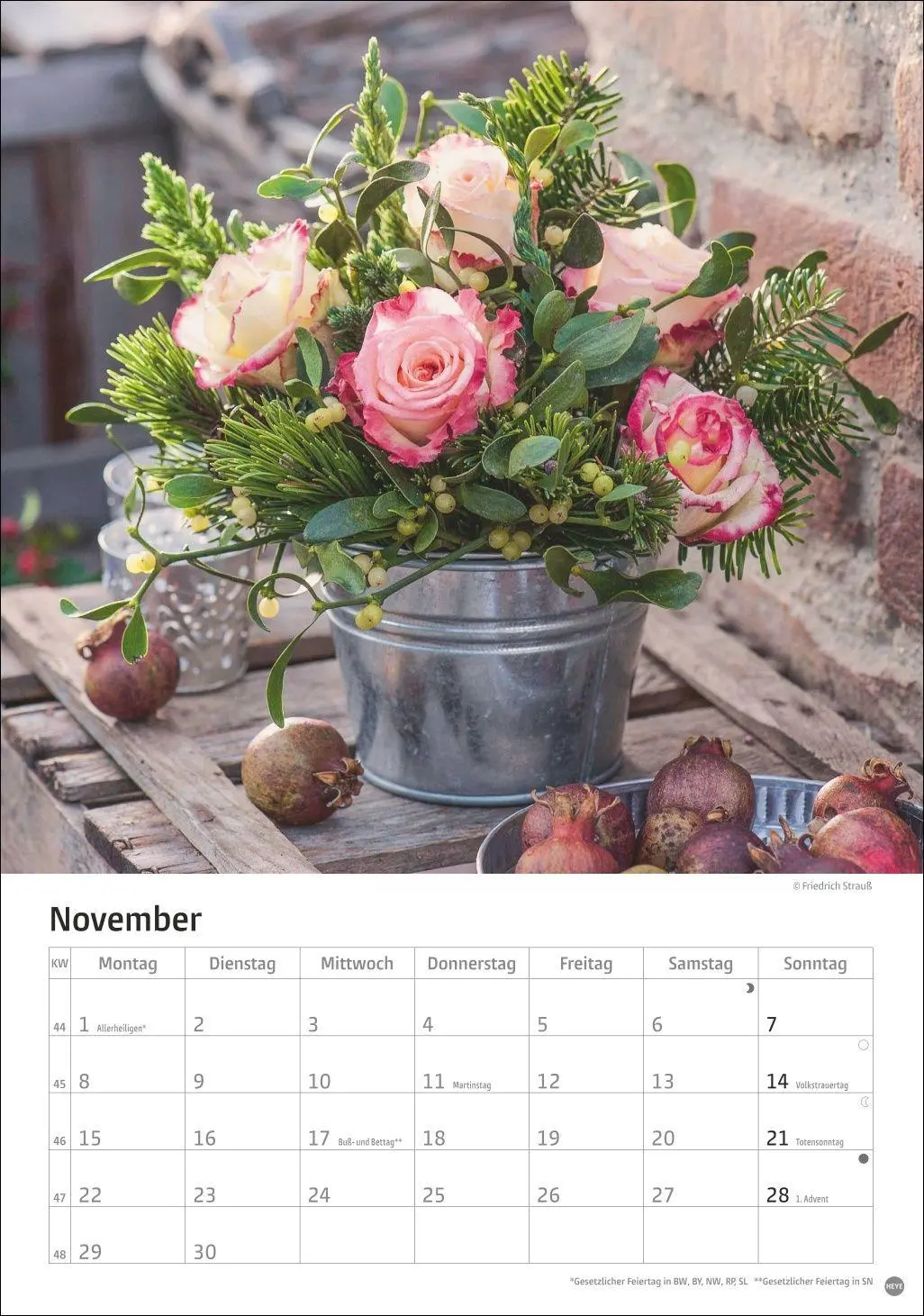 Bild: 9783756416240 | Rosenpracht Kalender 2027 | Heye | Kalender | Spiralbindung | 13 S.