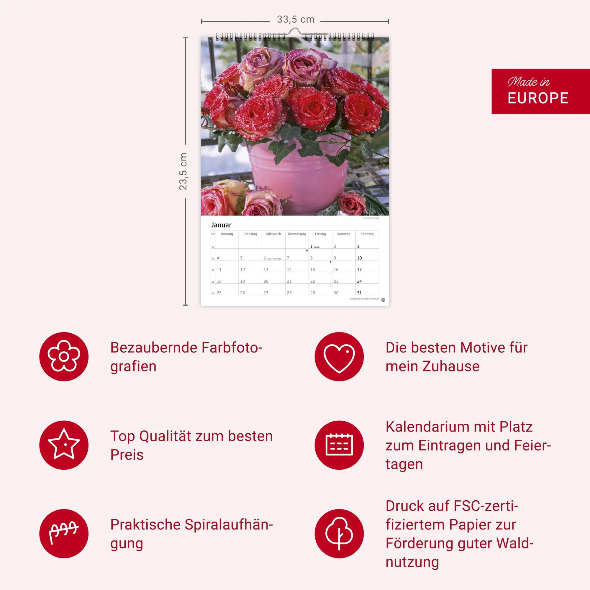 Bild: 9783756416240 | Rosenpracht Kalender 2027 | Heye | Kalender | Spiralbindung | 13 S.
