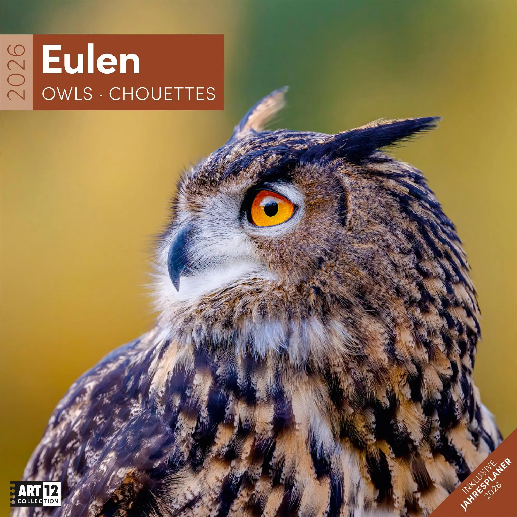 Cover: 9783838446240 | Eulen Broschürenkalender 2026 - 30x30 - Art12 | GmbH | Kalender | 2026