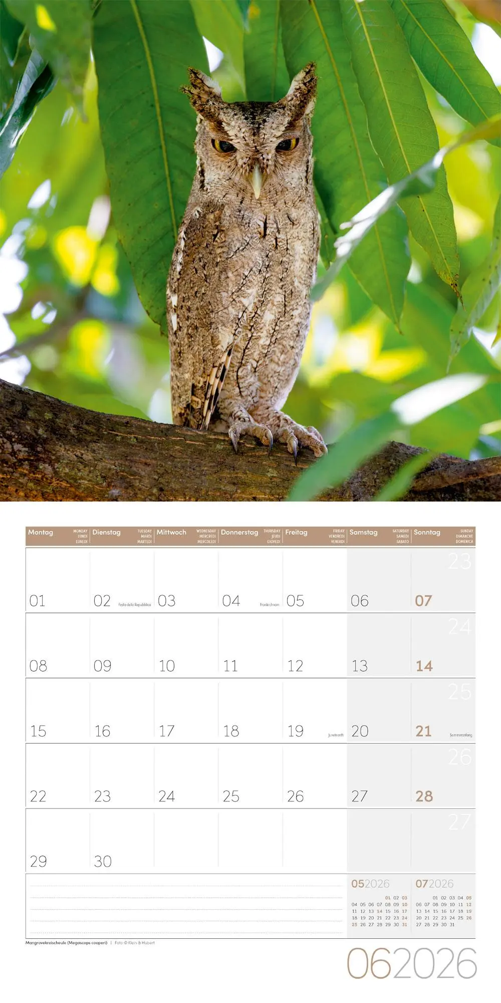 Bild: 9783838446240 | Eulen Broschürenkalender 2026 - 30x30 - Art12 | GmbH | Kalender | 2026