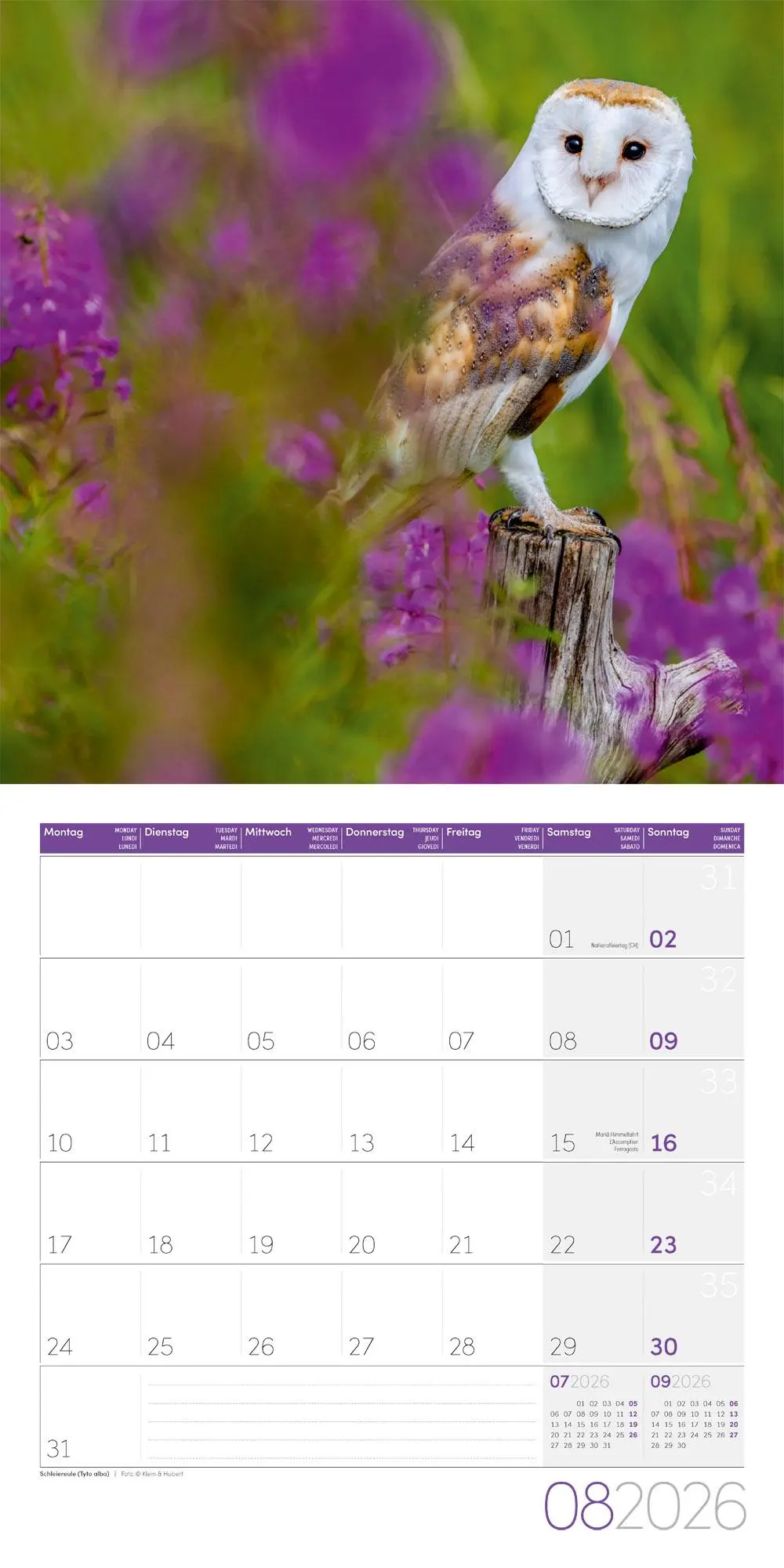 Bild: 9783838446240 | Eulen Broschürenkalender 2026 - 30x30 - Art12 | GmbH | Kalender | 2026