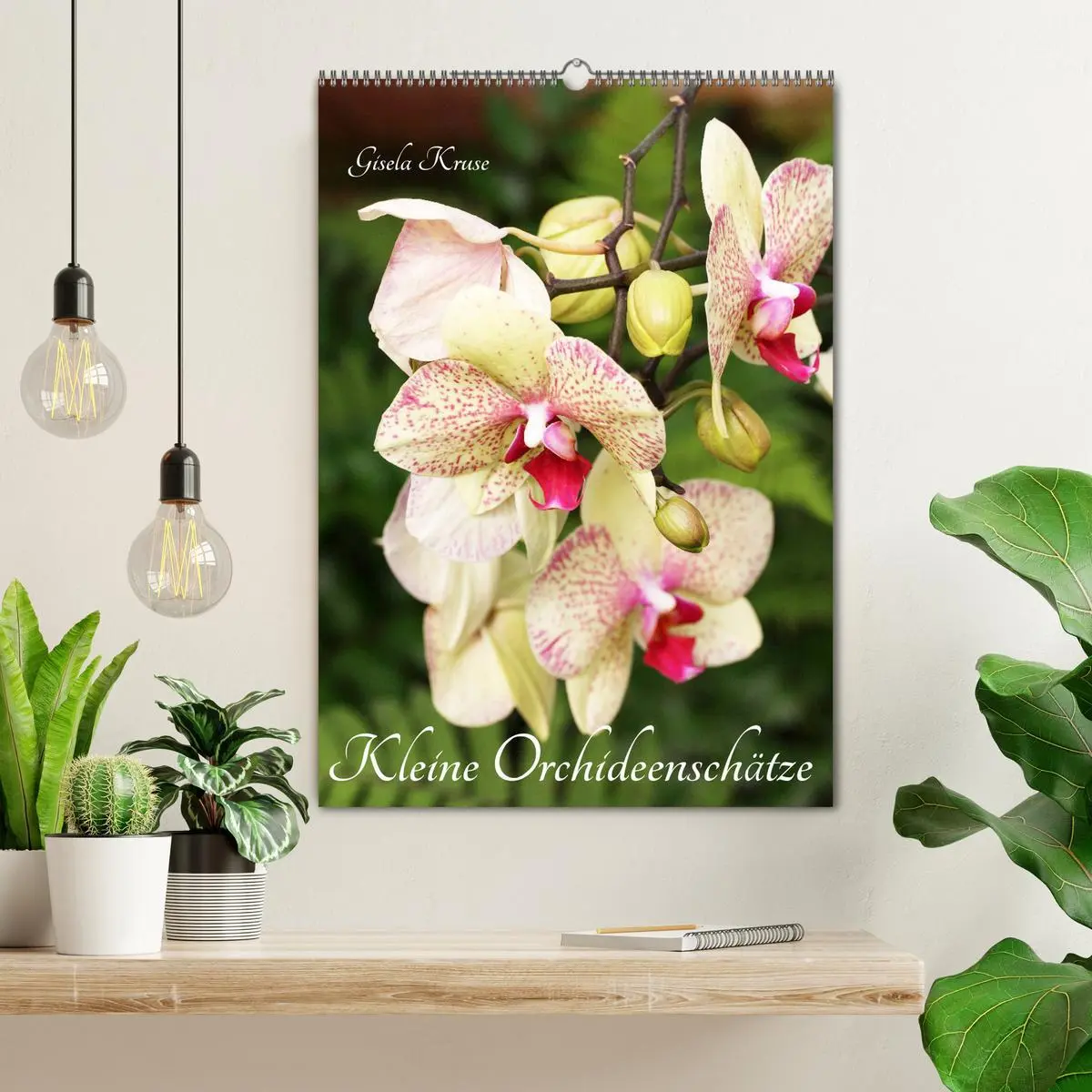 Bild: 9783516376340 | Kleine Orchideenschätze (Wandkalender 2026 DIN A2 hoch), CALVENDO...