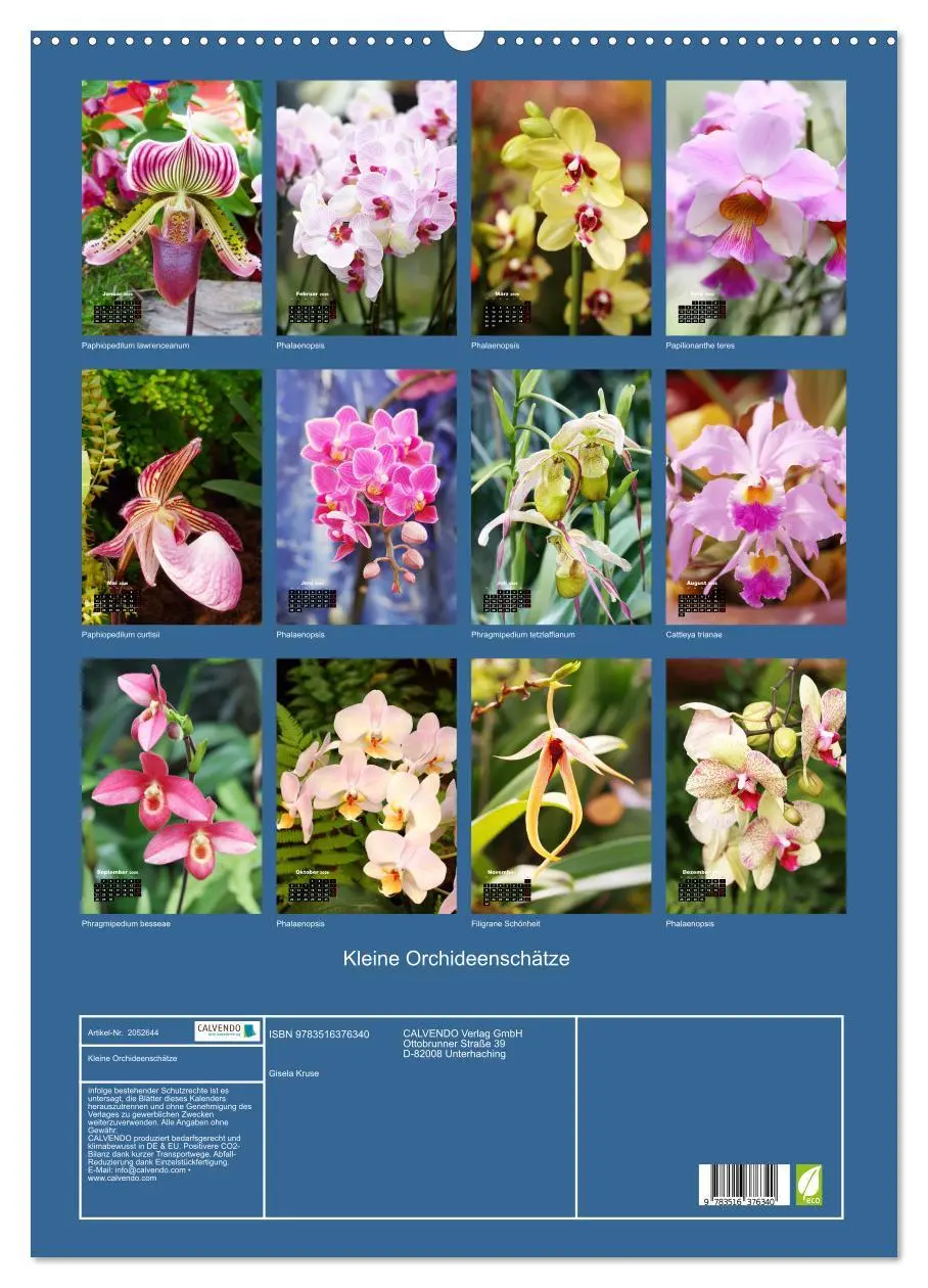 Bild: 9783516376340 | Kleine Orchideenschätze (Wandkalender 2026 DIN A2 hoch), CALVENDO...