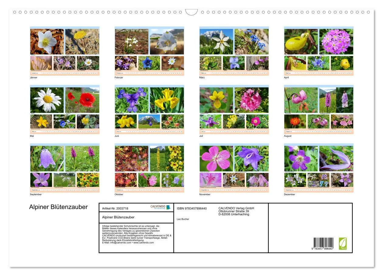 Bild: 9783457896440 | Alpiner Blütenzauber (Wandkalender 2026 DIN A2 quer), CALVENDO...