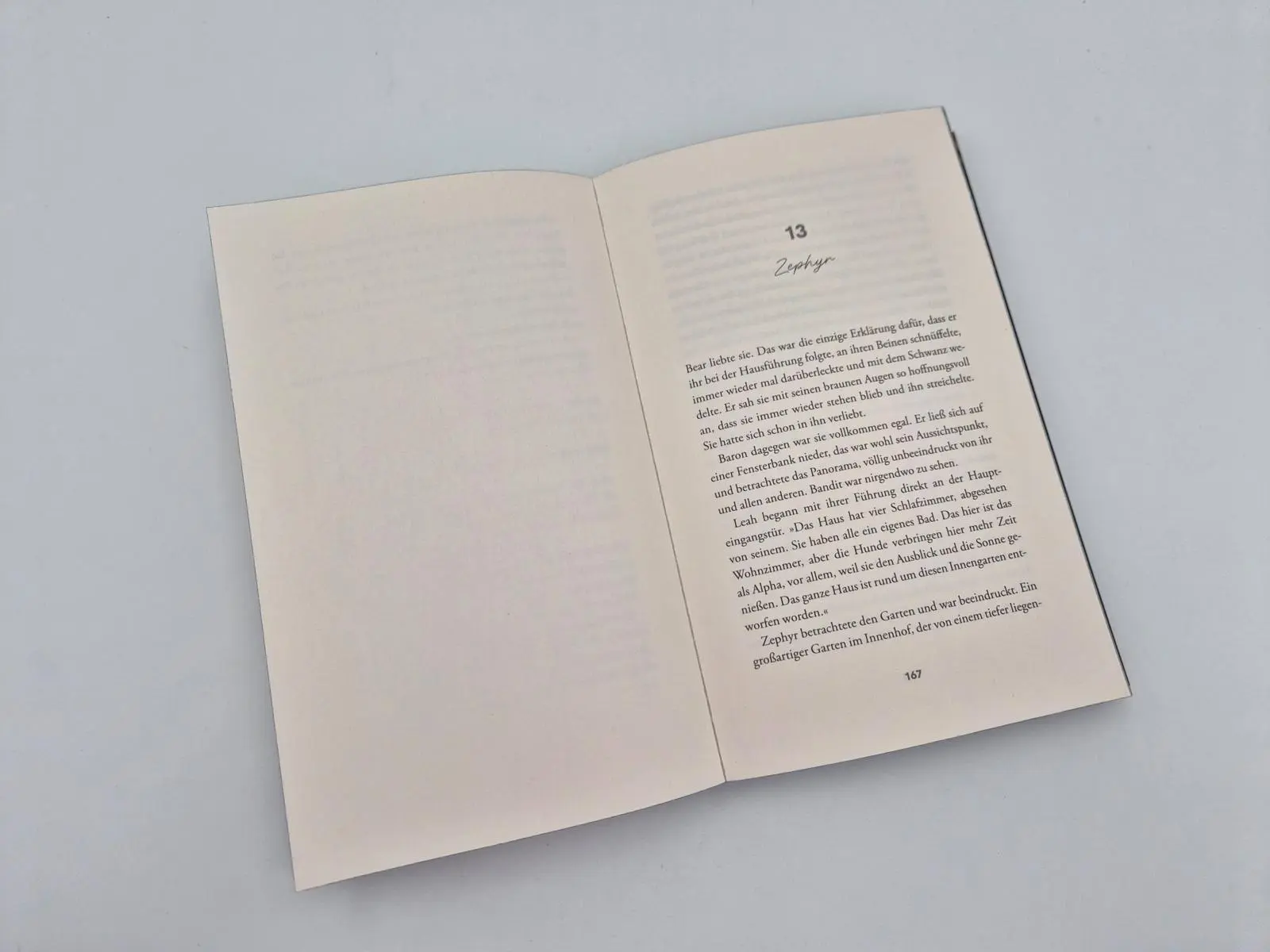 Bild: 9783492066440 | The Finisher - Du bist sein Verhängnis | Runyx | Taschenbuch | 400 S.