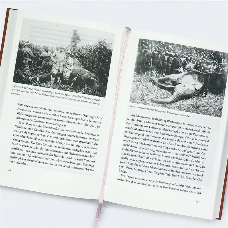 Bild: 9783552076440 | Schule der Elefanten | Sophy Roberts | Buch | 448 S. | Deutsch | 2026