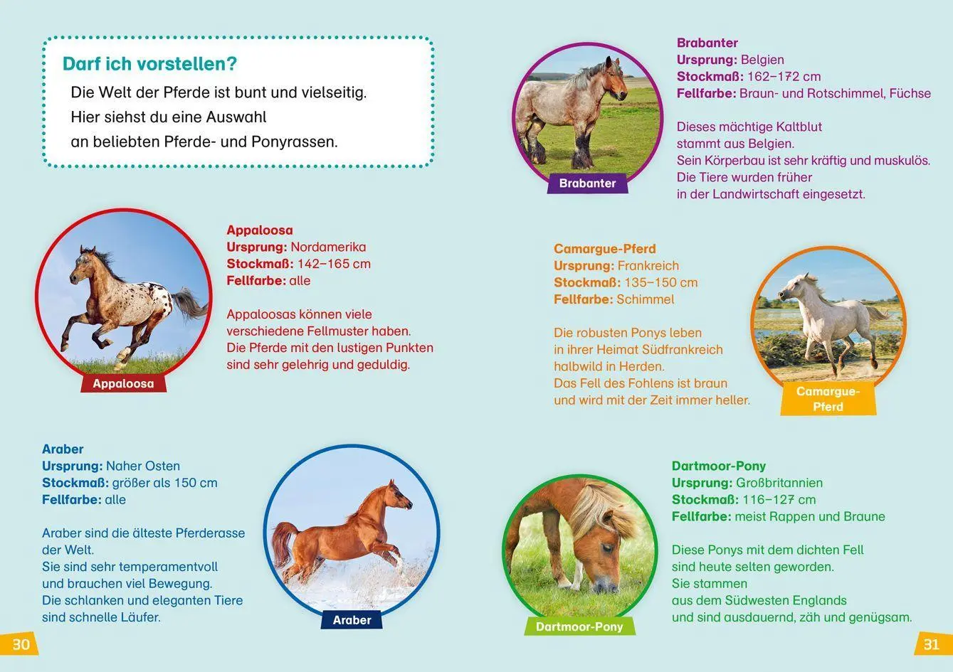 Bild: 9783788626440 | WAS IST WAS Erstes Lesen Band 7. Pferde und Ponys | Christina Braun