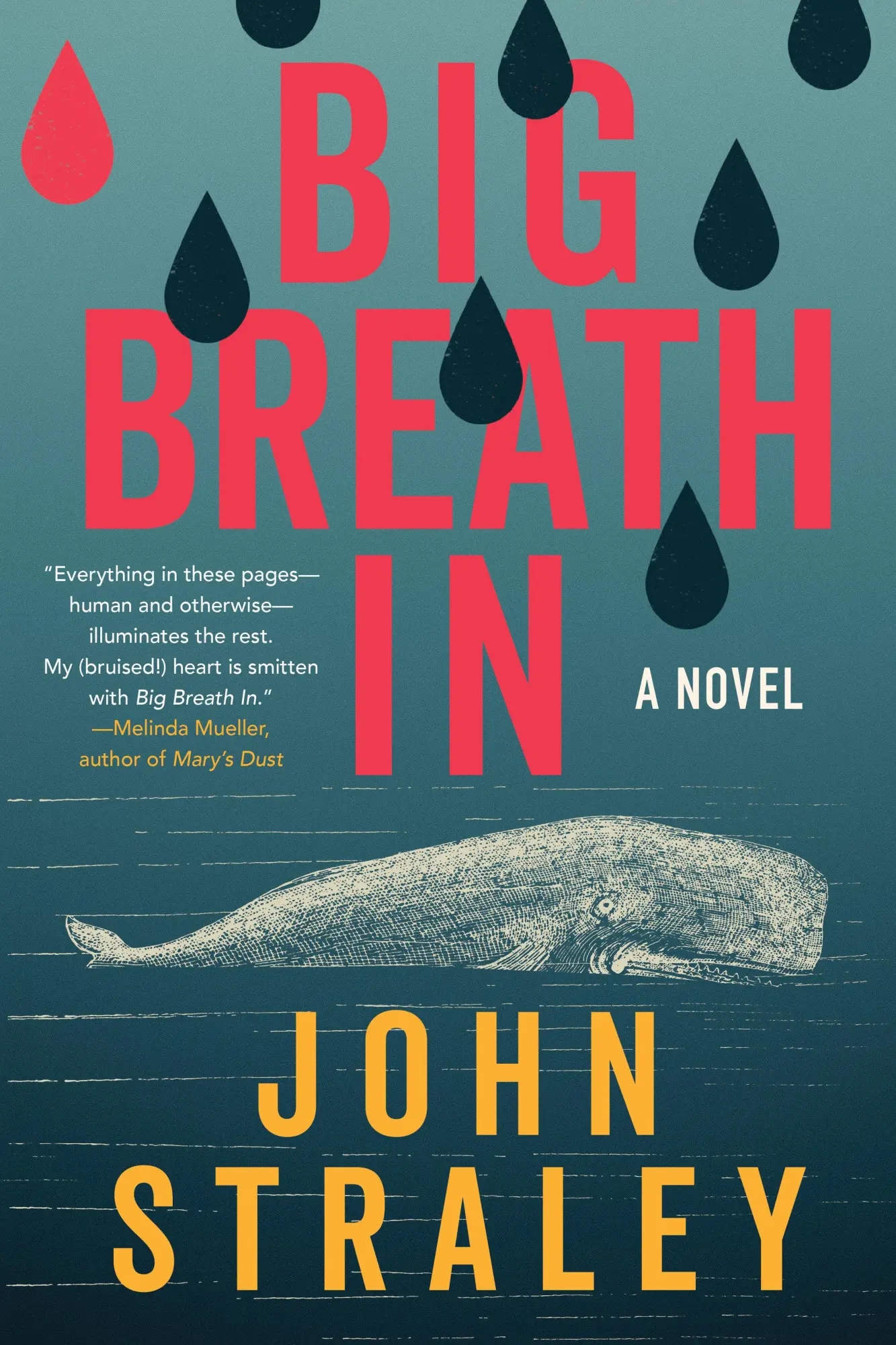 Cover: 9781641296540 | Big Breath IN | John Straley | Buch | Einband - fest (Hardcover)