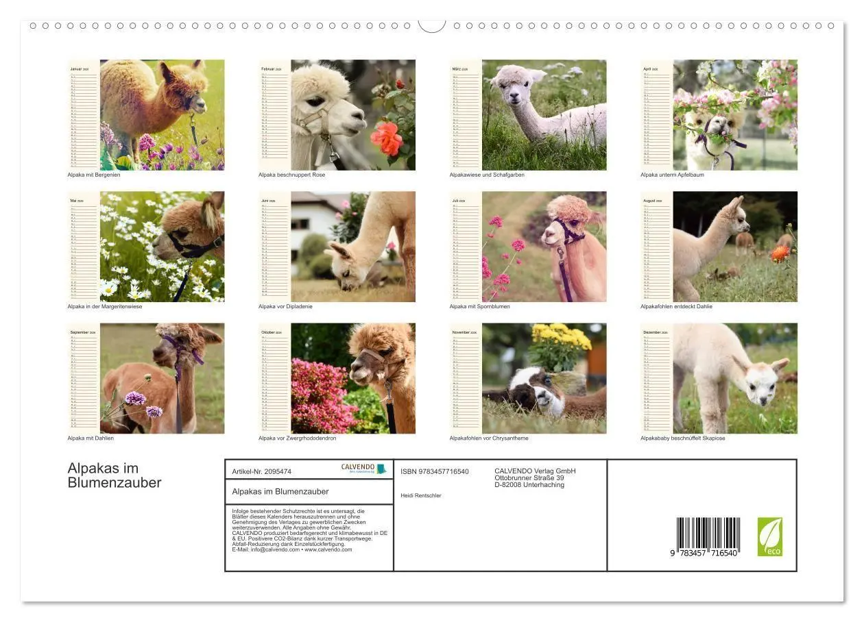 Bild: 9783457716540 | Alpakas im Blumenzauber (hochwertiger Premium Wandkalender 2026 DIN...