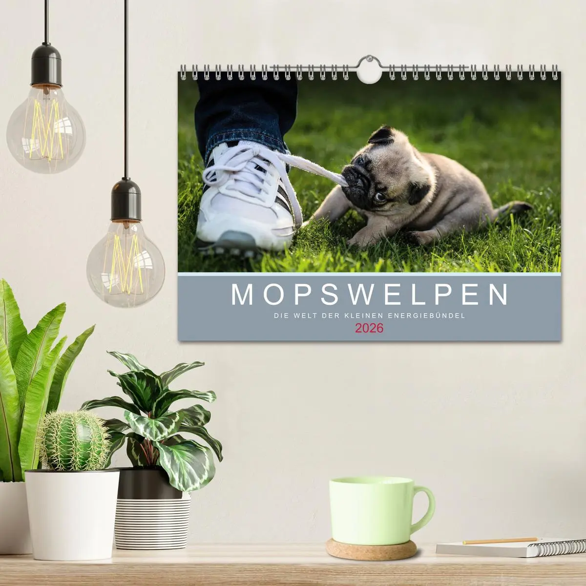 Bild: 9783457886540 | Mopswelpen (Wandkalender 2026 DIN A4 quer), CALVENDO Monatskalender
