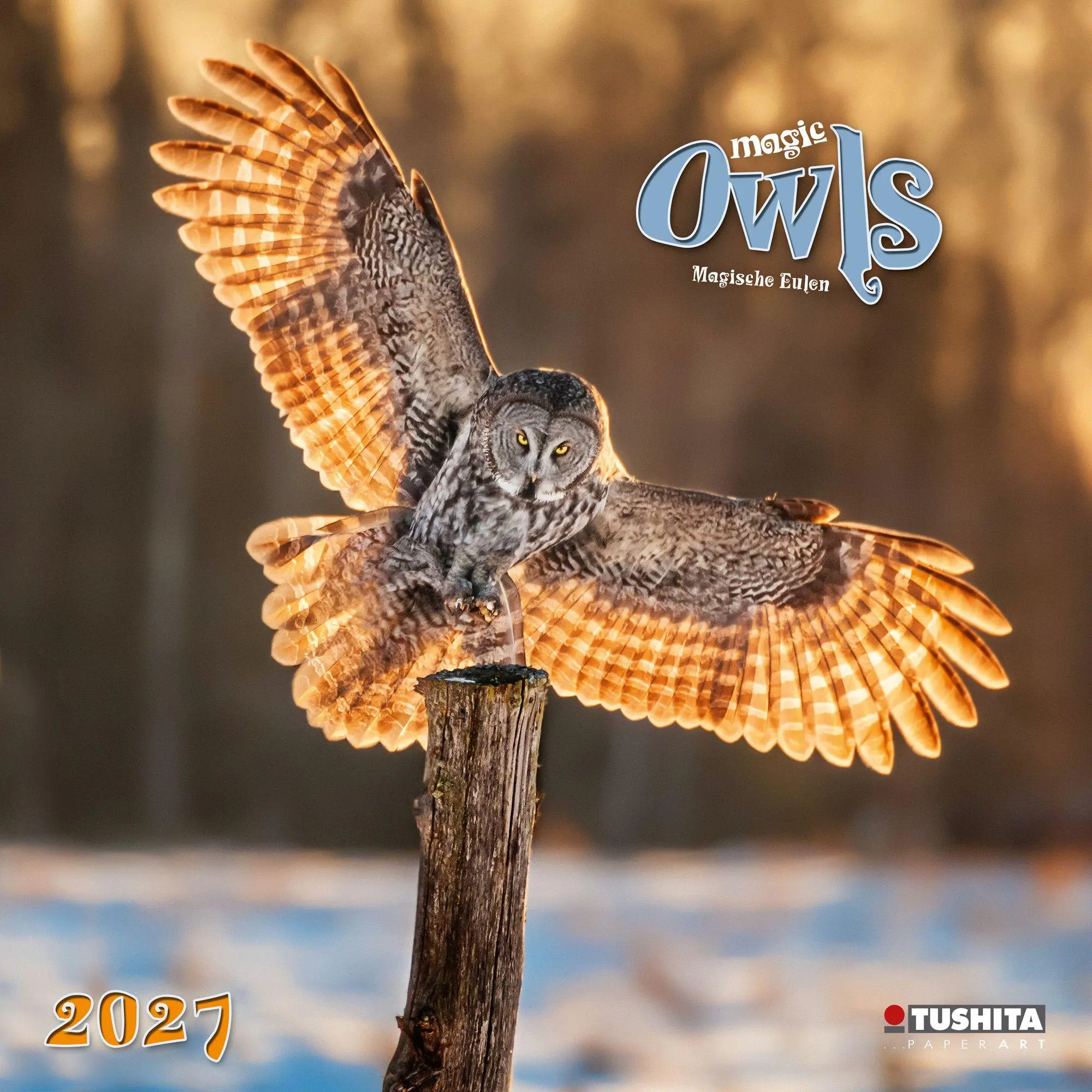 Cover: 9783959296540 | Magic Owls 2027 | Kalender 2027 | Kalender | Wonderful World | 28 S.