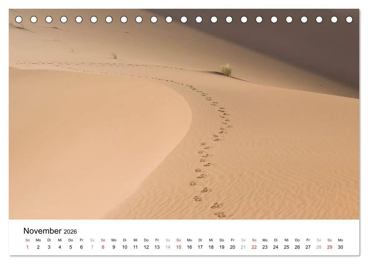 Bild: 9783457946640 | Märchenhaftes Marokko (Tischkalender 2026 DIN A5 quer), CALVENDO...