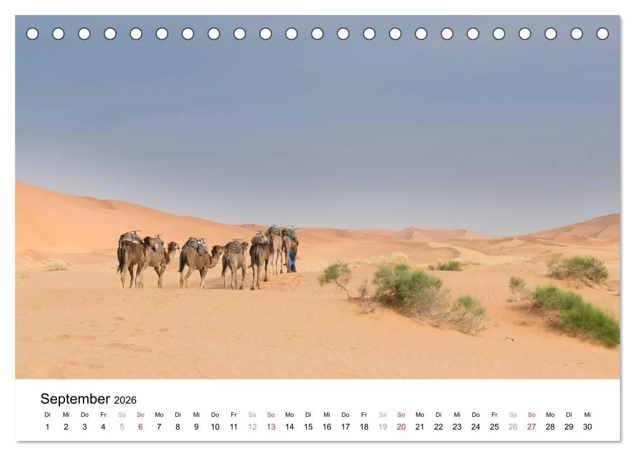 Bild: 9783457946640 | Märchenhaftes Marokko (Tischkalender 2026 DIN A5 quer), CALVENDO...